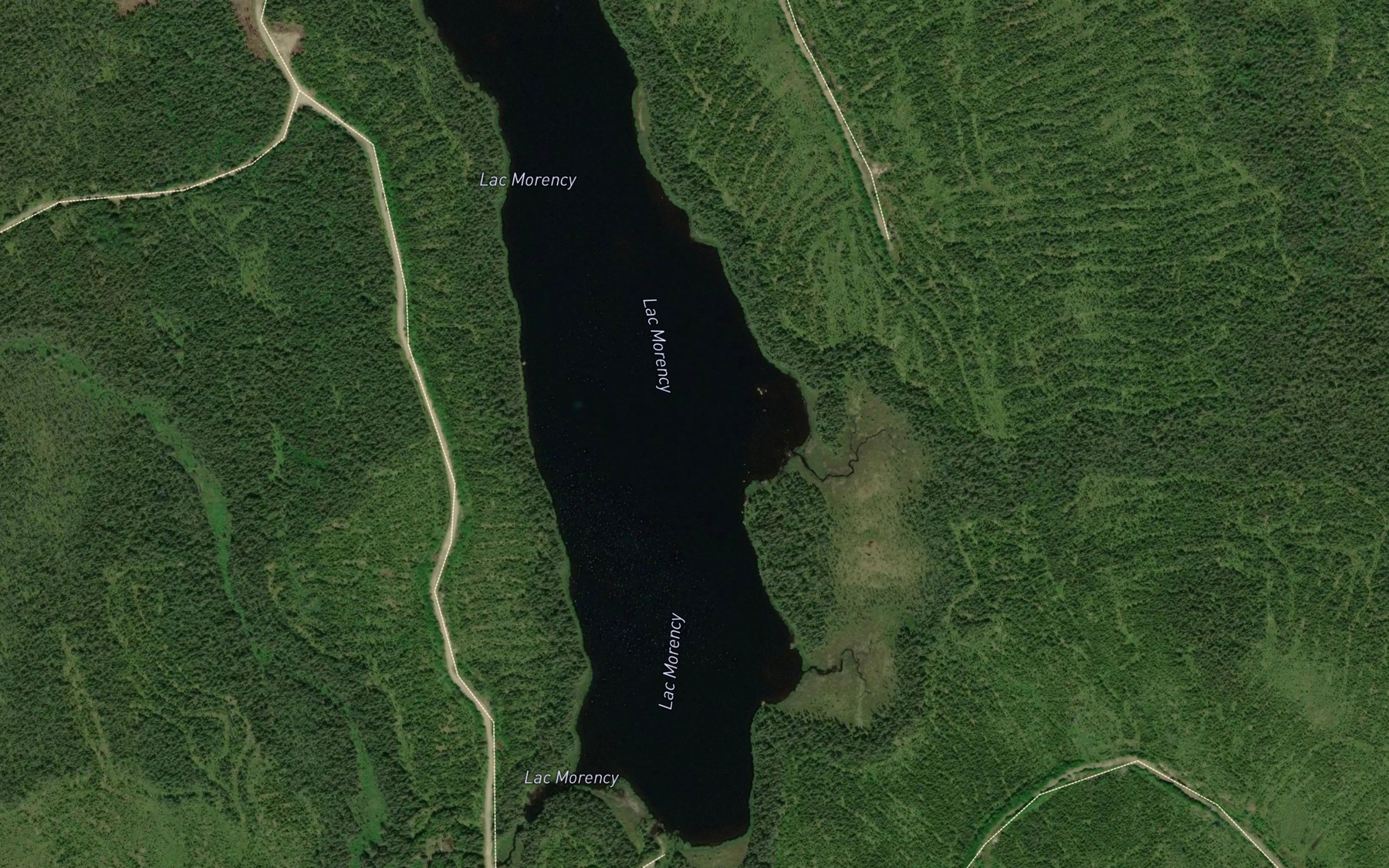 Satellite map of the Lac Morency