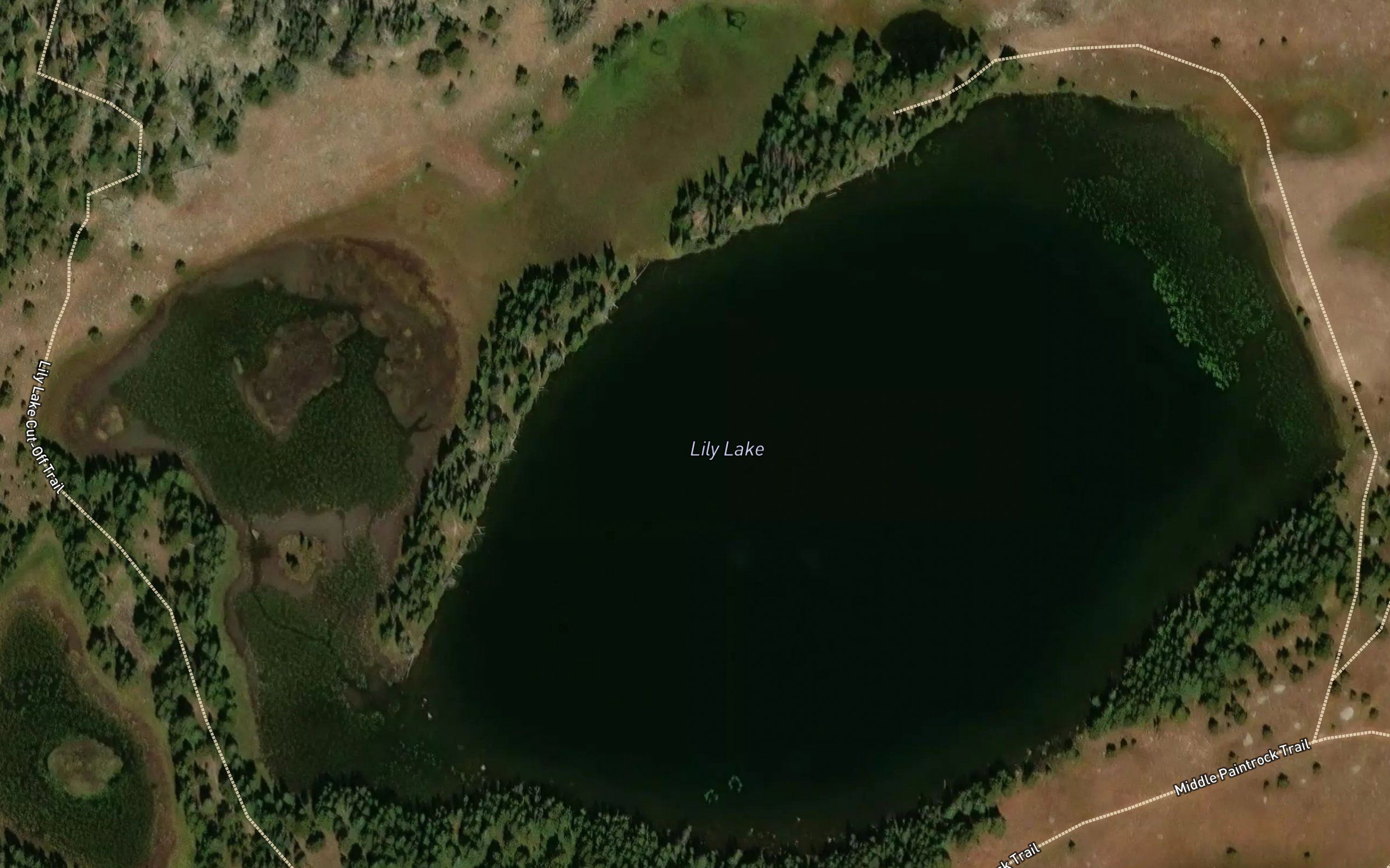 Lily Lake