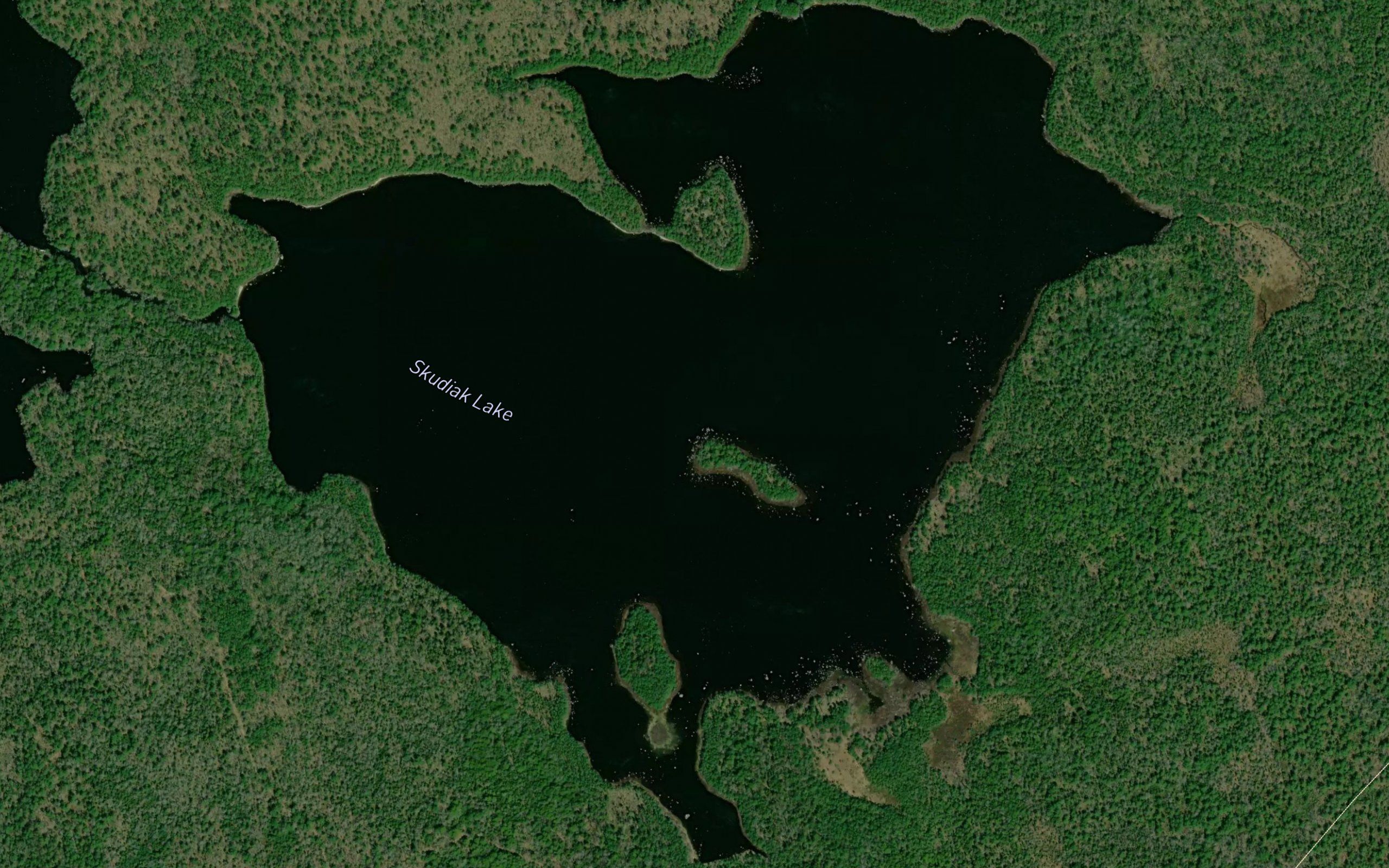 Skudiak Lake