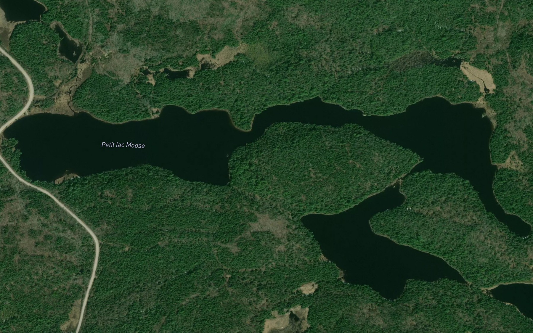 Satellite map of the Petit lac Moose