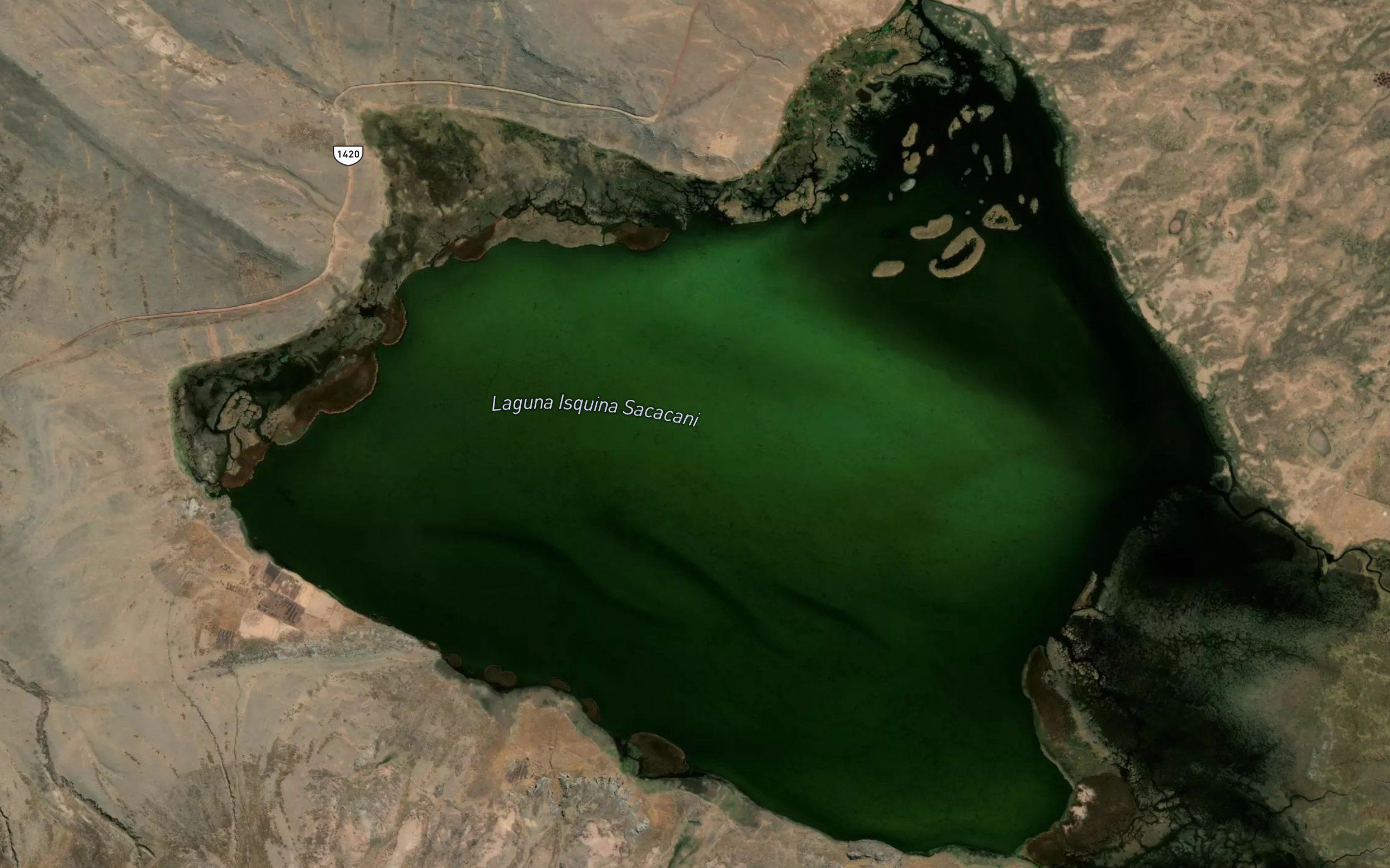 Laguna Isquina Sacacani