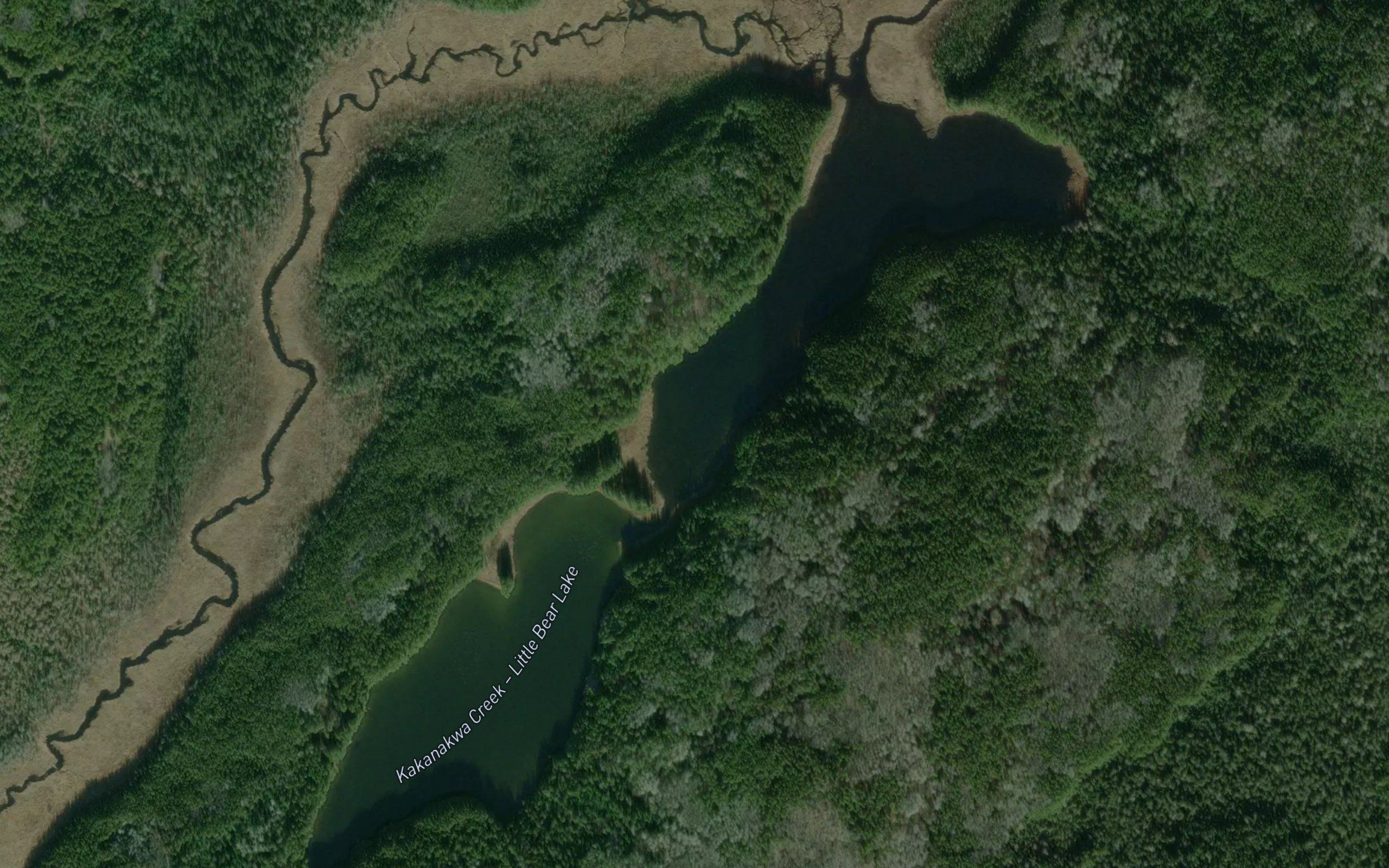 Little Bear Lake