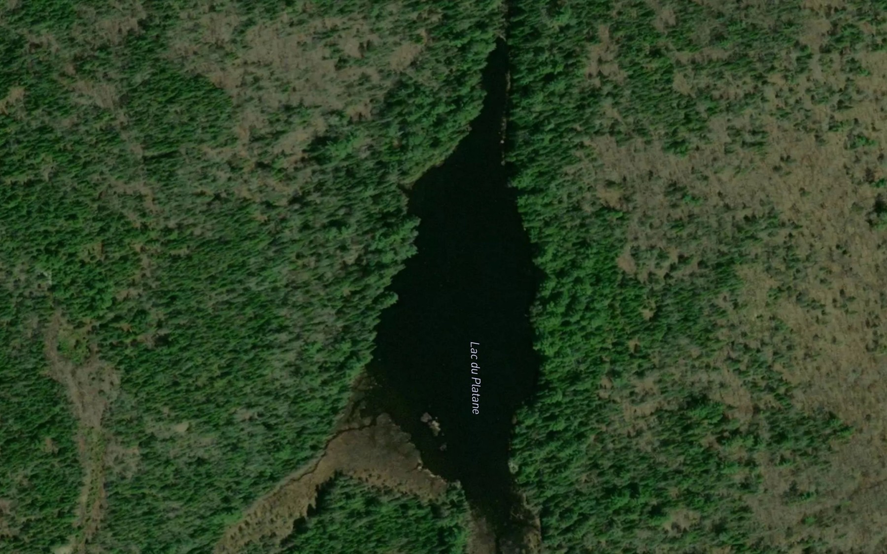 Satellite map of the Lac du Platane