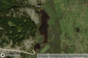 Trout Lake