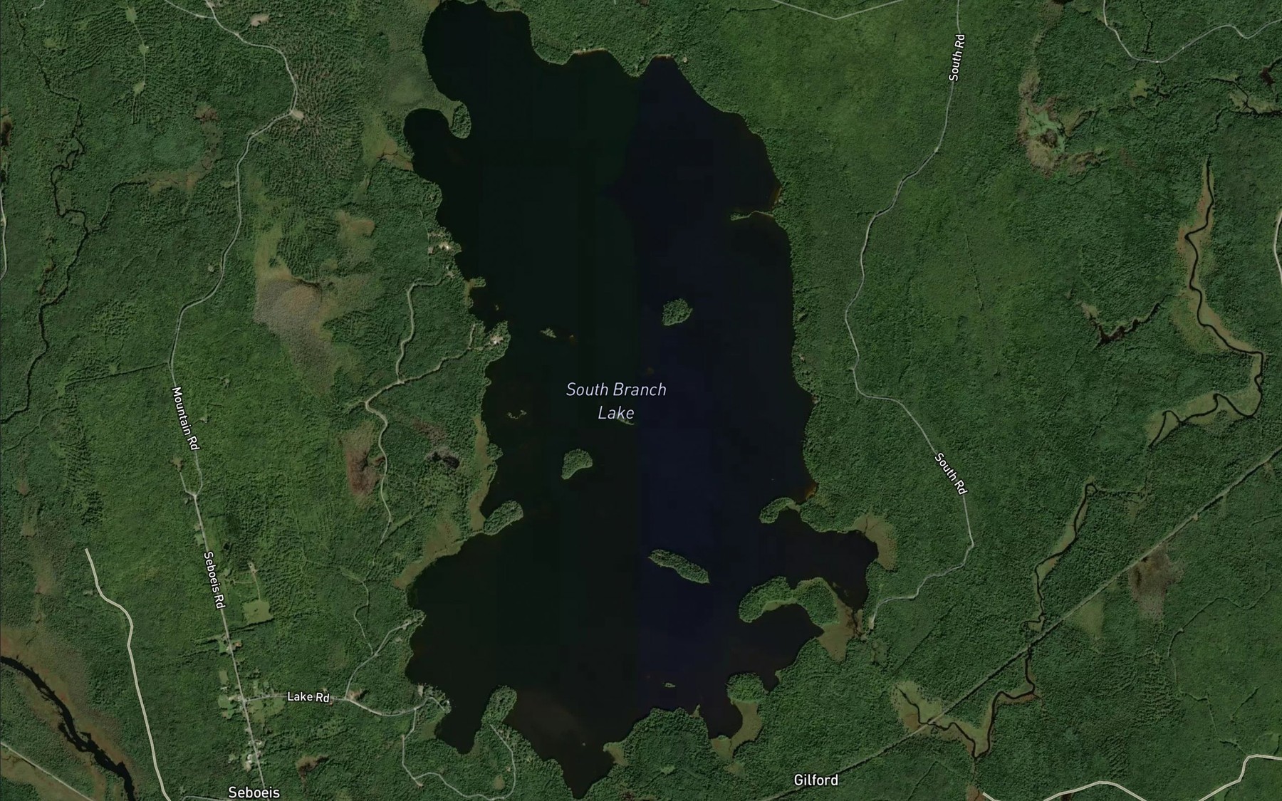 Satellite map of the South Branch Lake