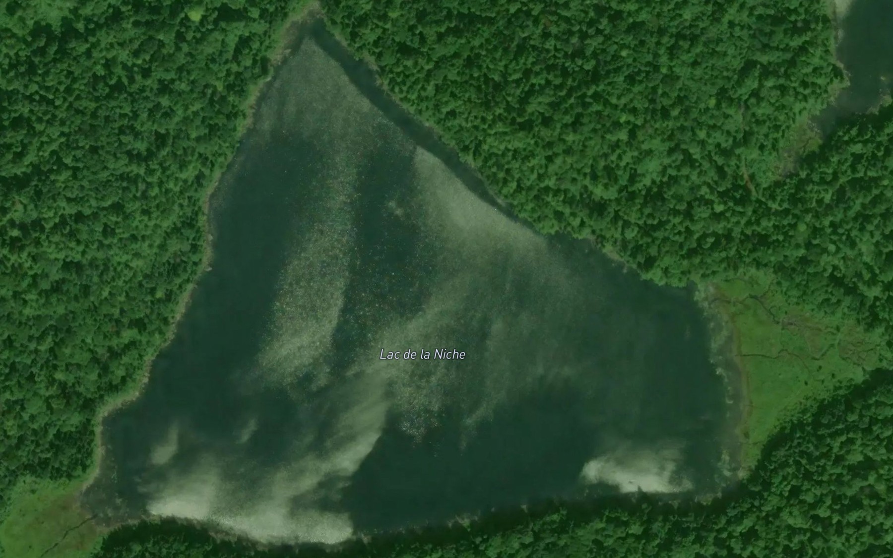Satellite map of the Lac de la Niche
