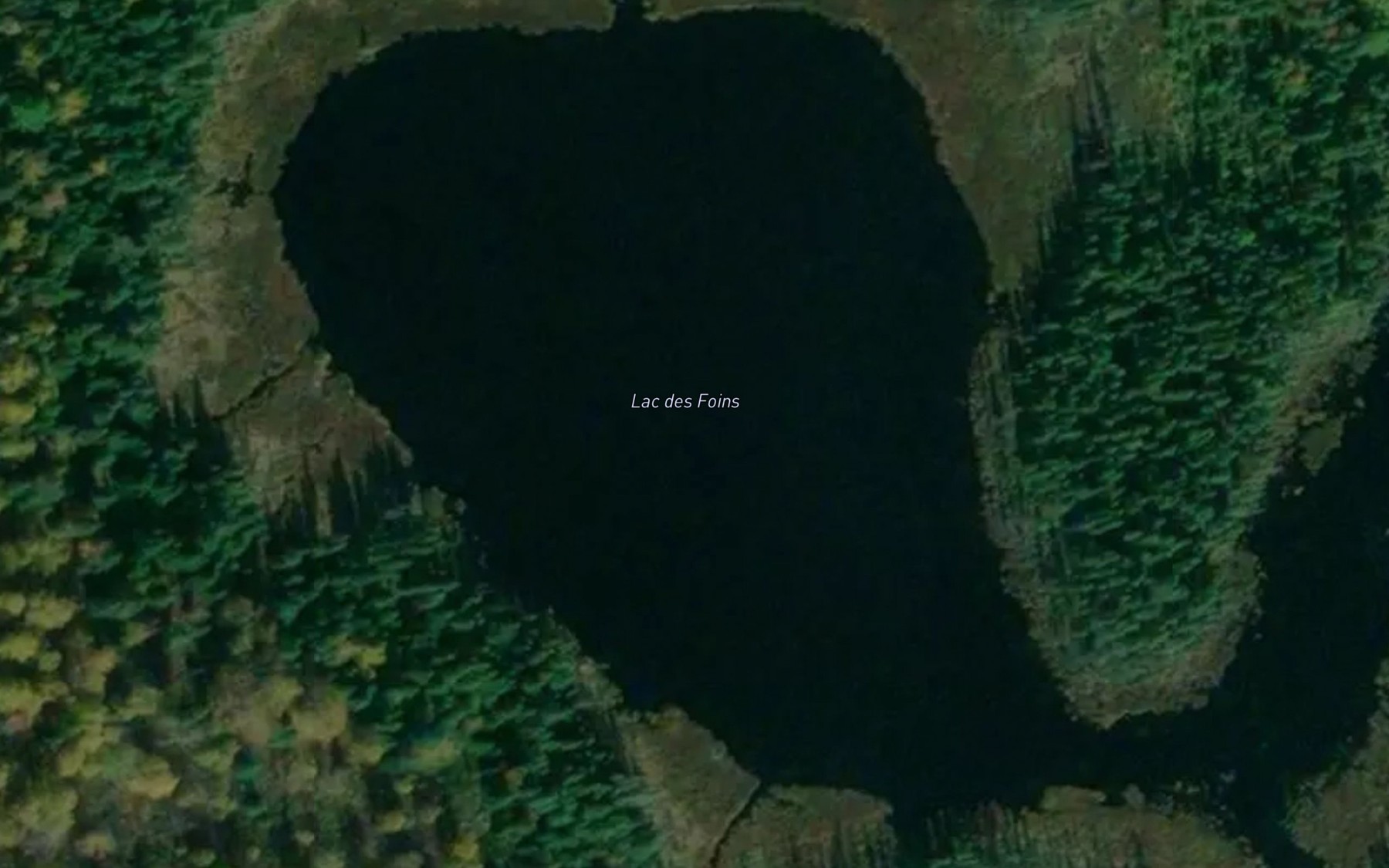 Satellite map of the Lac des Foins