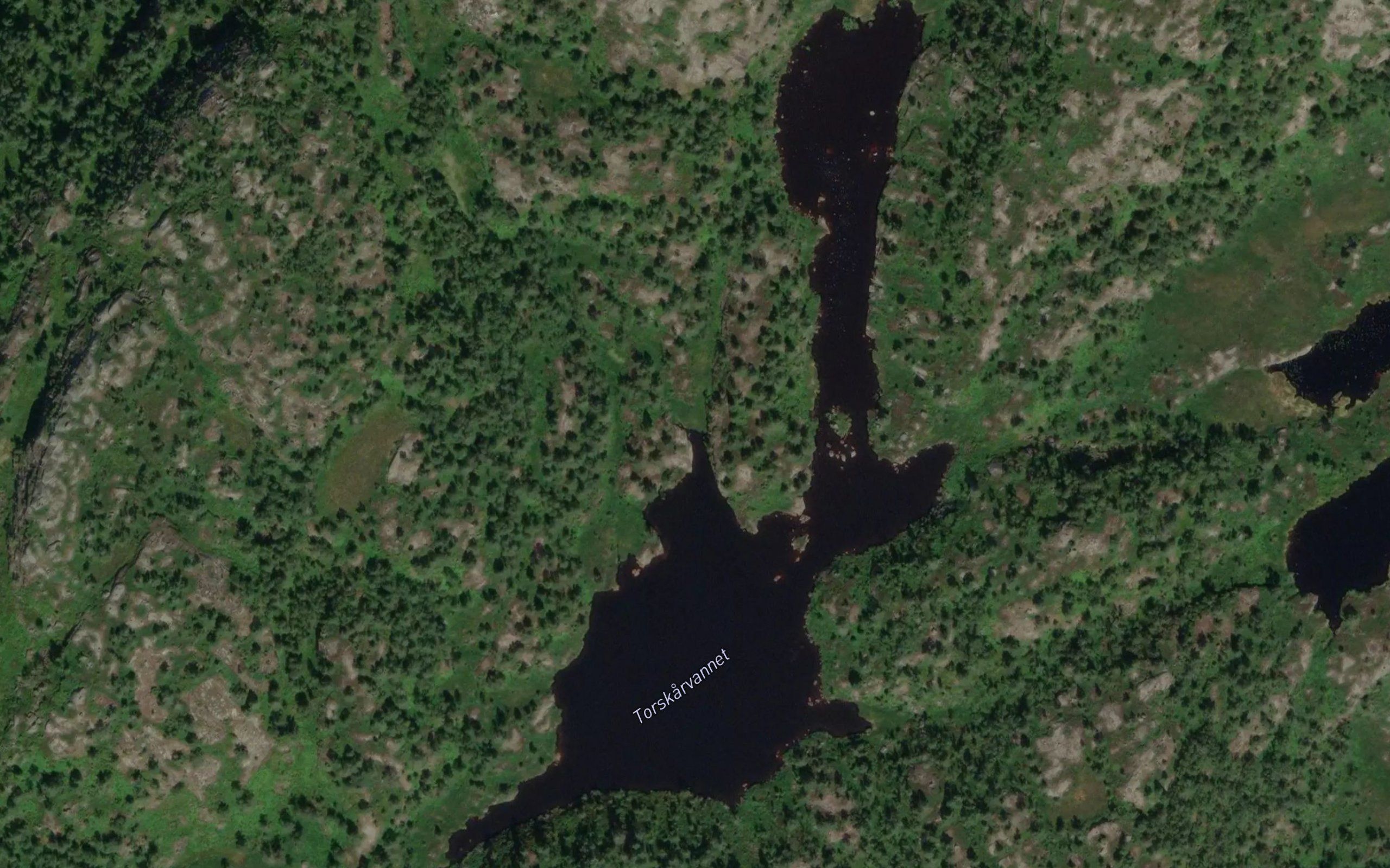 Torrskovatnet