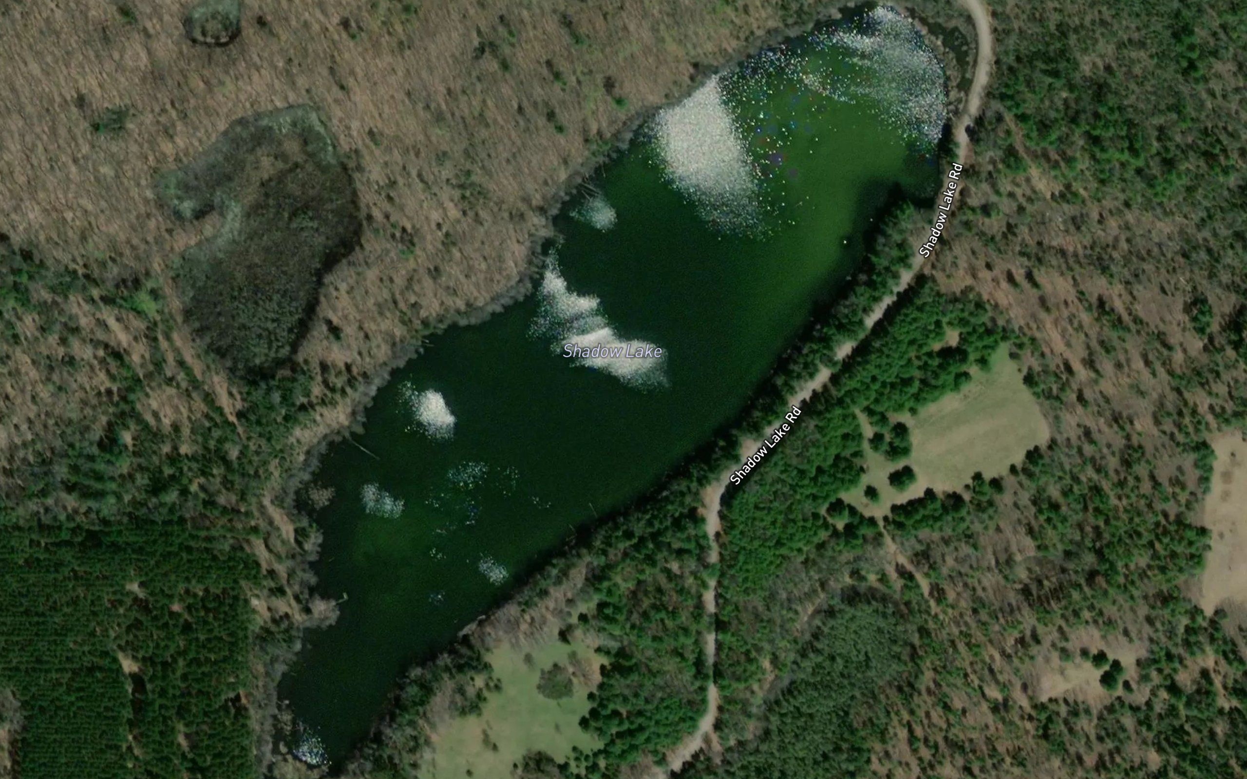 Shadow Lake