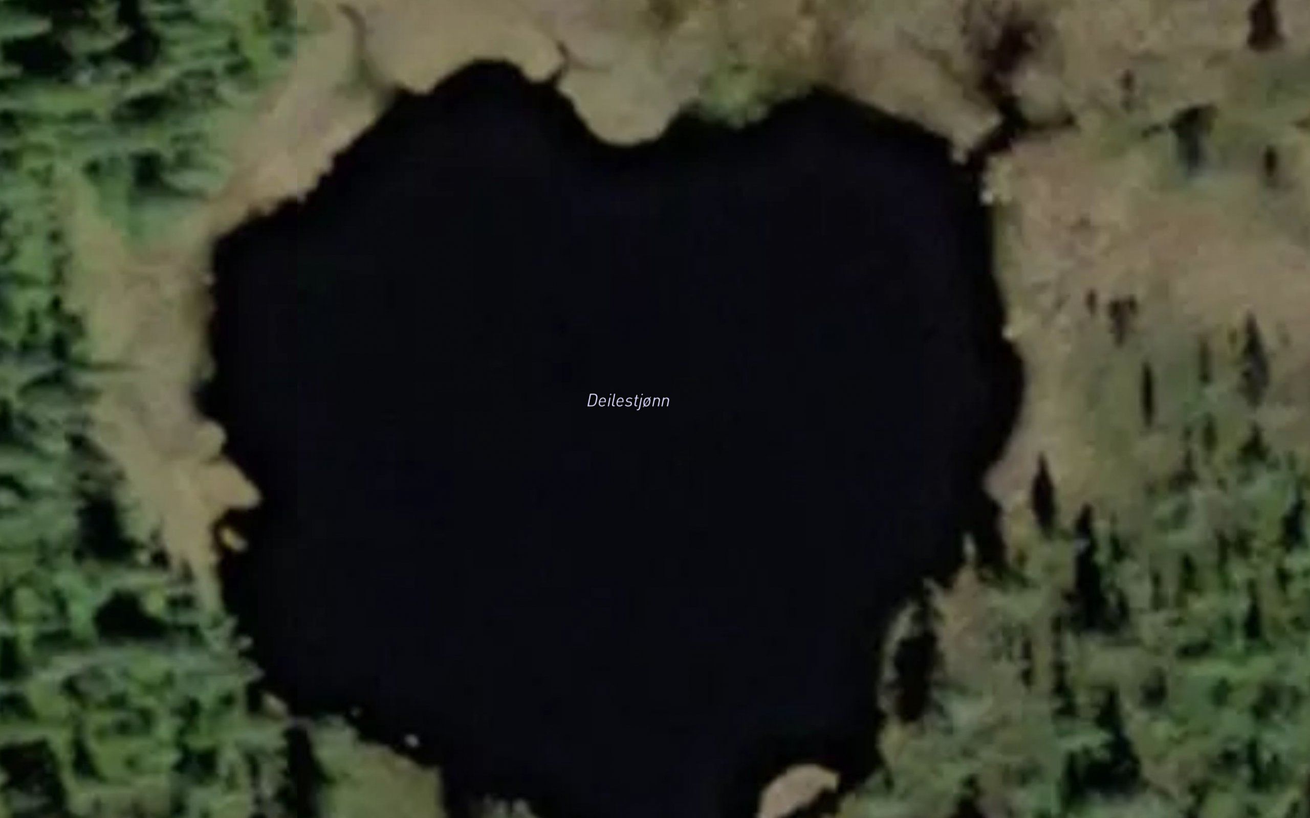 Deilestjorni