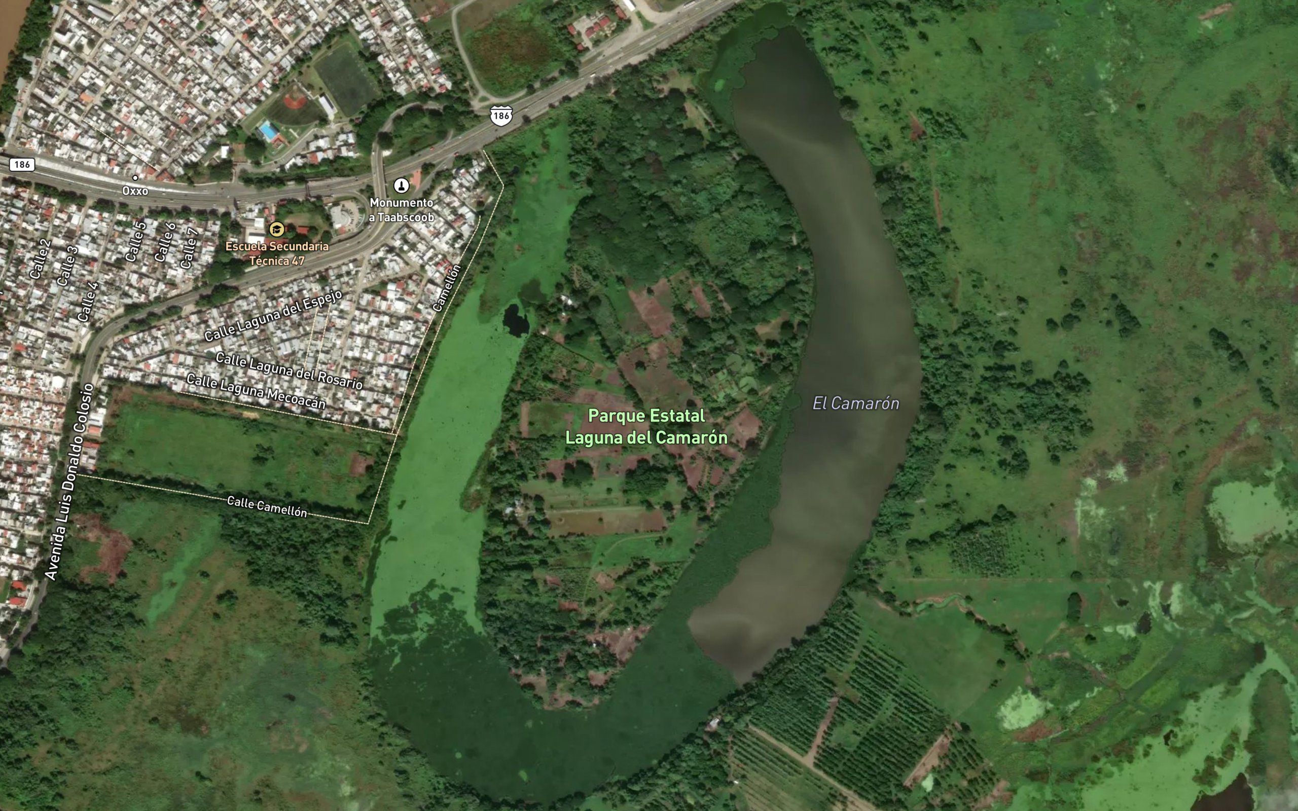 Laguna el Camaron