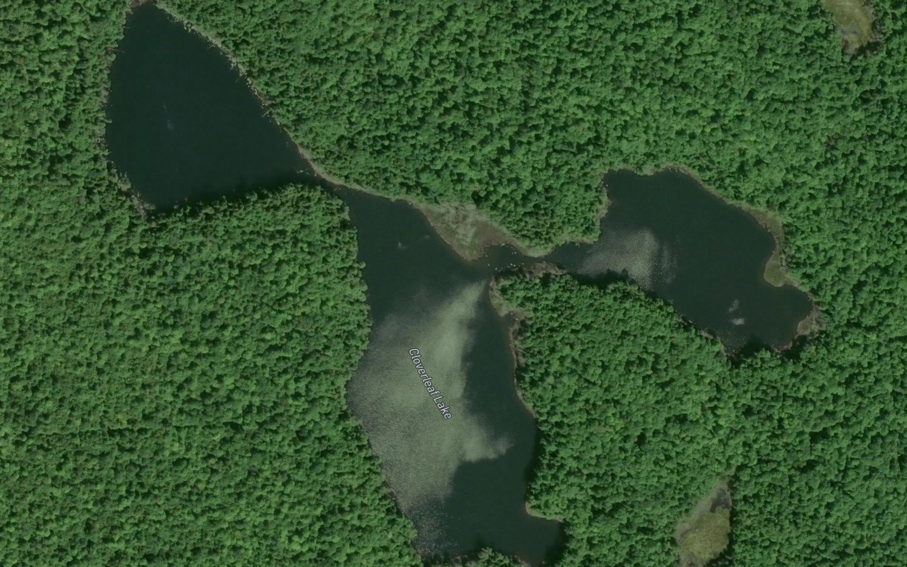 Satellite map of the Cloverleaf Lake