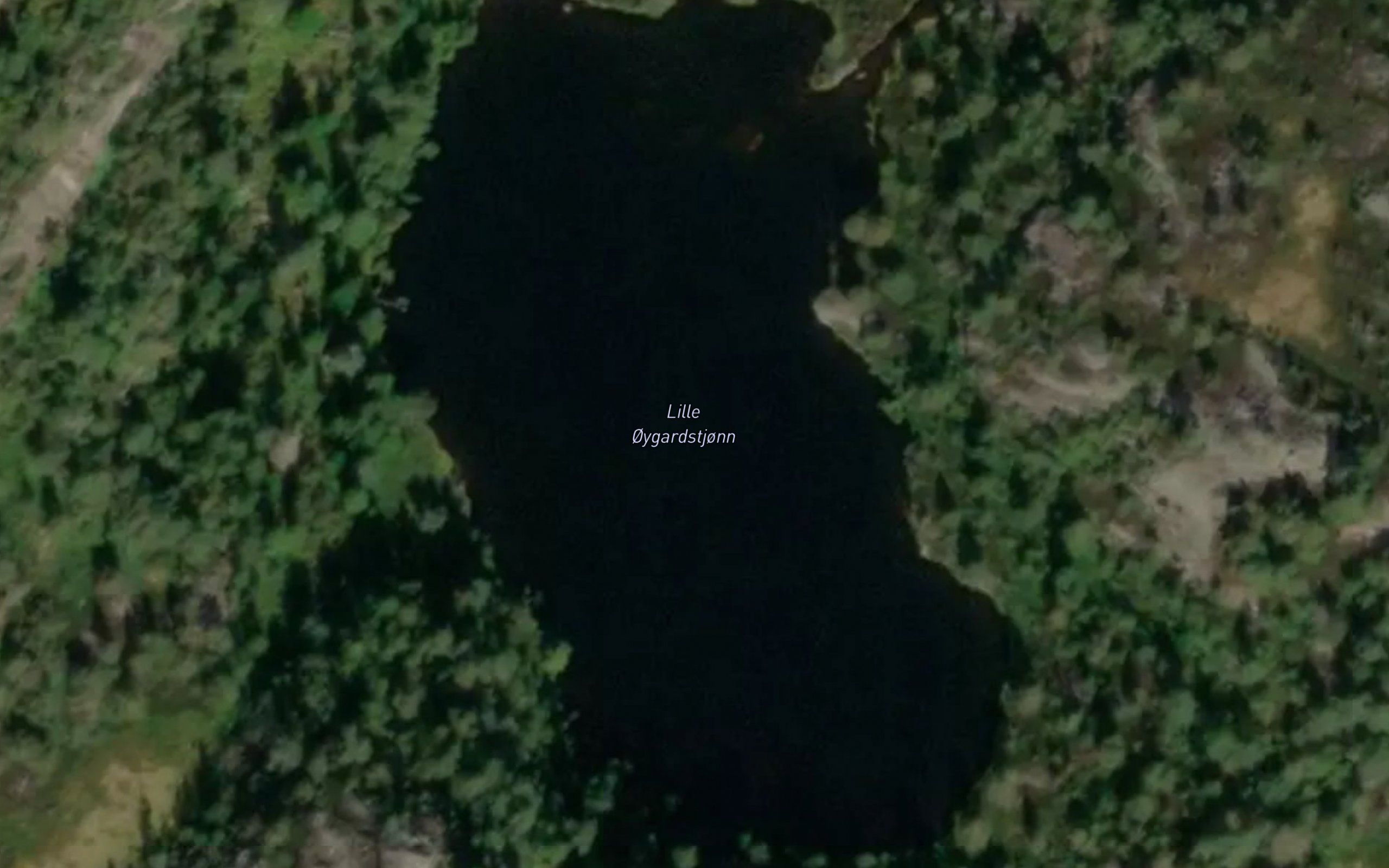 Oygardstjornane