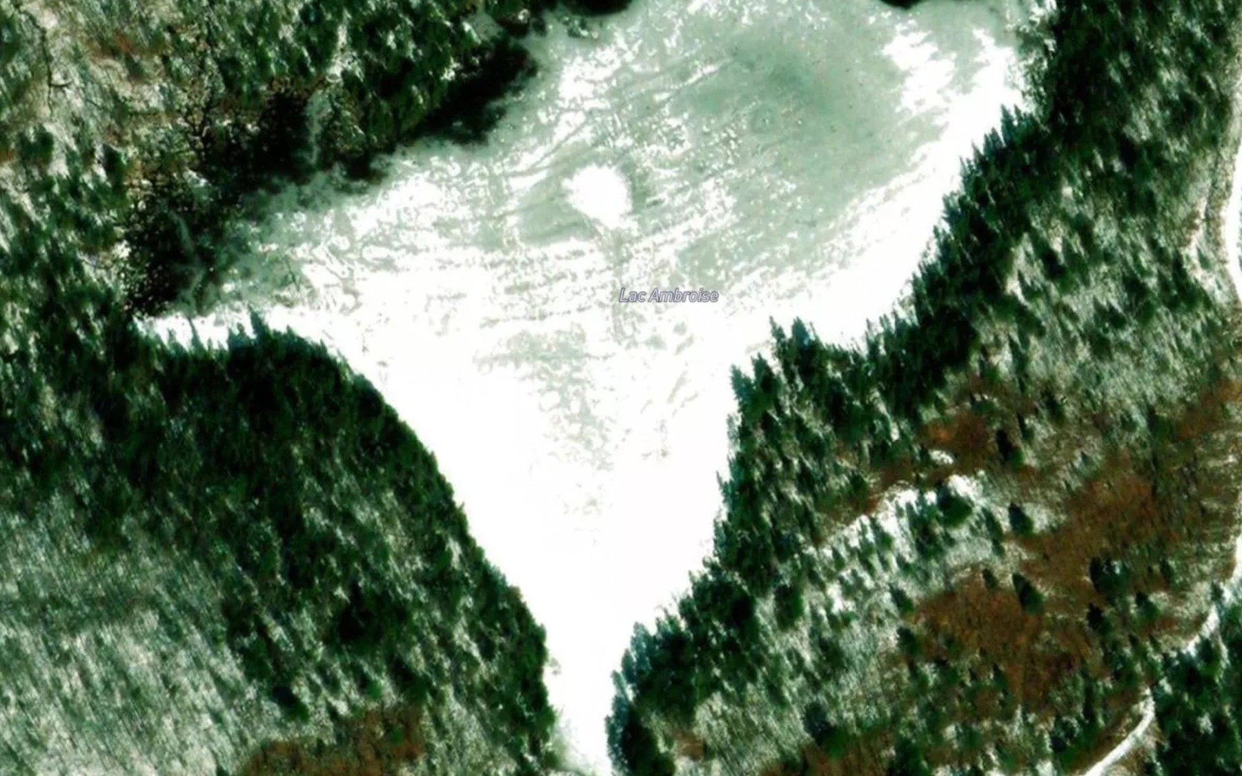 Satellite map of the Lac Ambroise