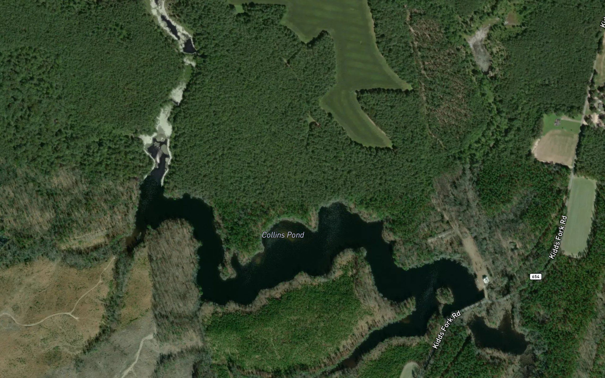 Collins Pond