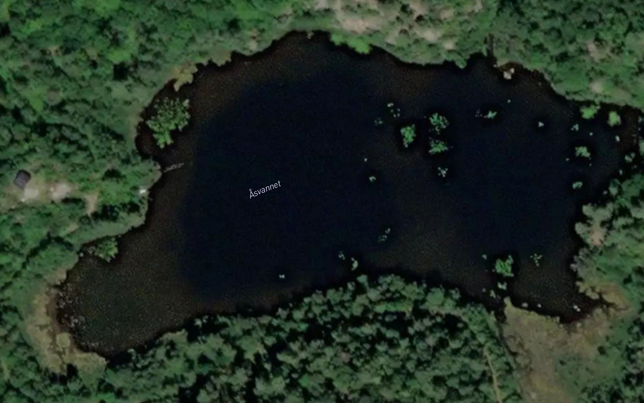 Asvannet