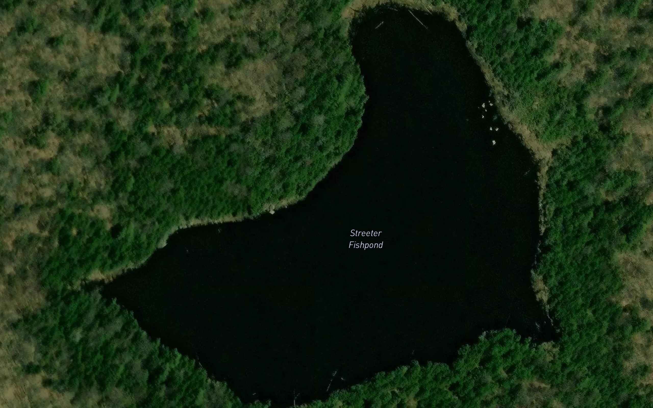 Streeter Fishpond