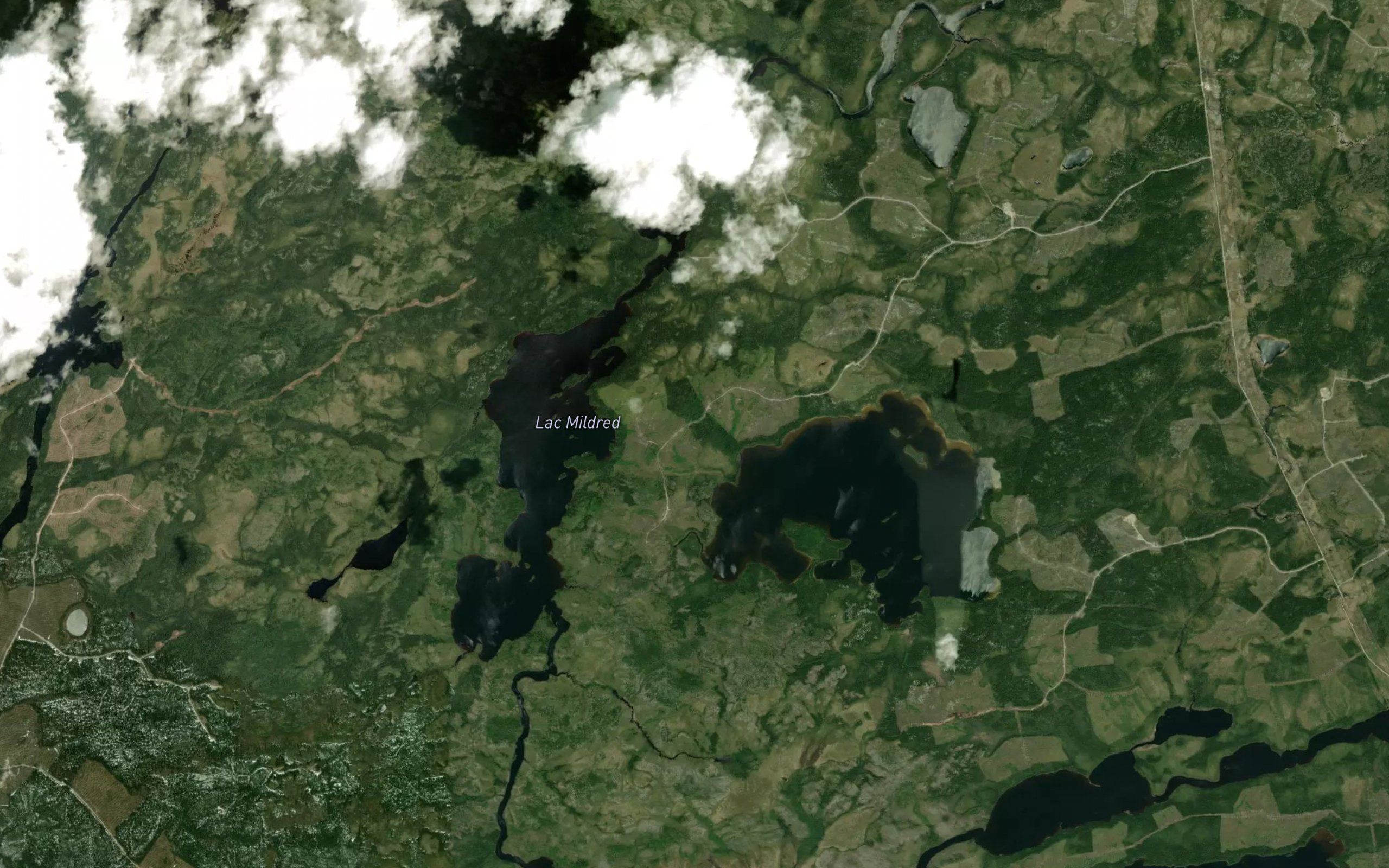 Lac Mildred