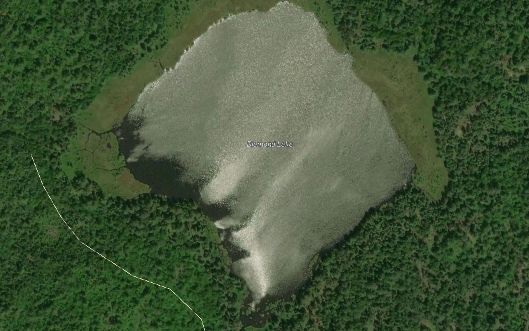 Satellite map of the Diamond Lake