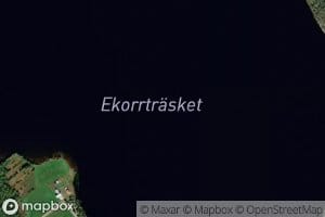 Ekorrtraesket