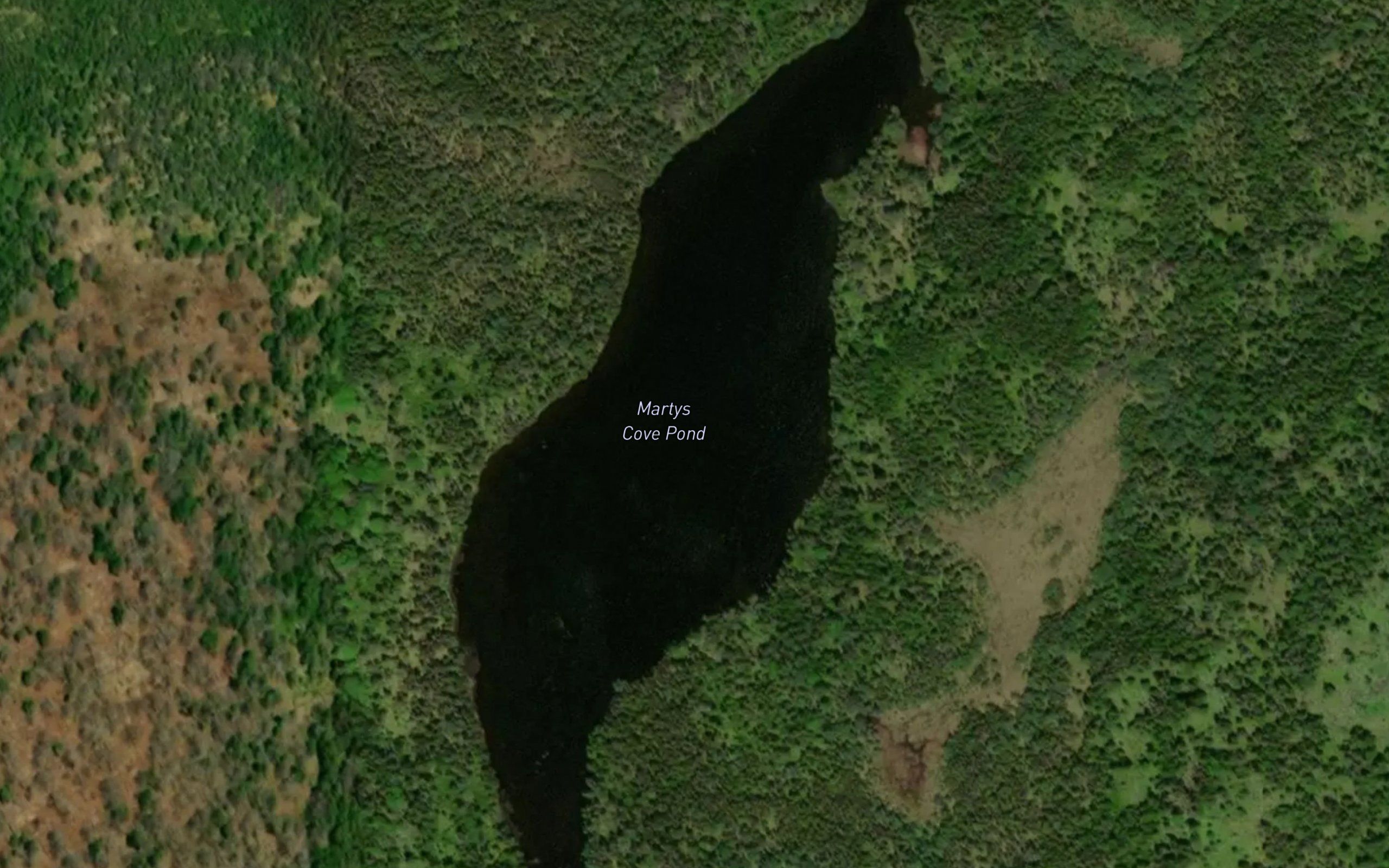 Martys Cove Pond