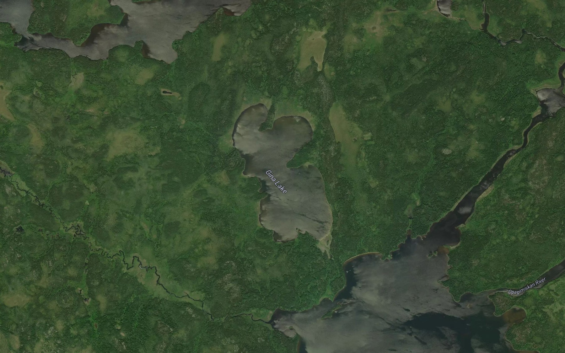 Satellite map of the Gina Lake