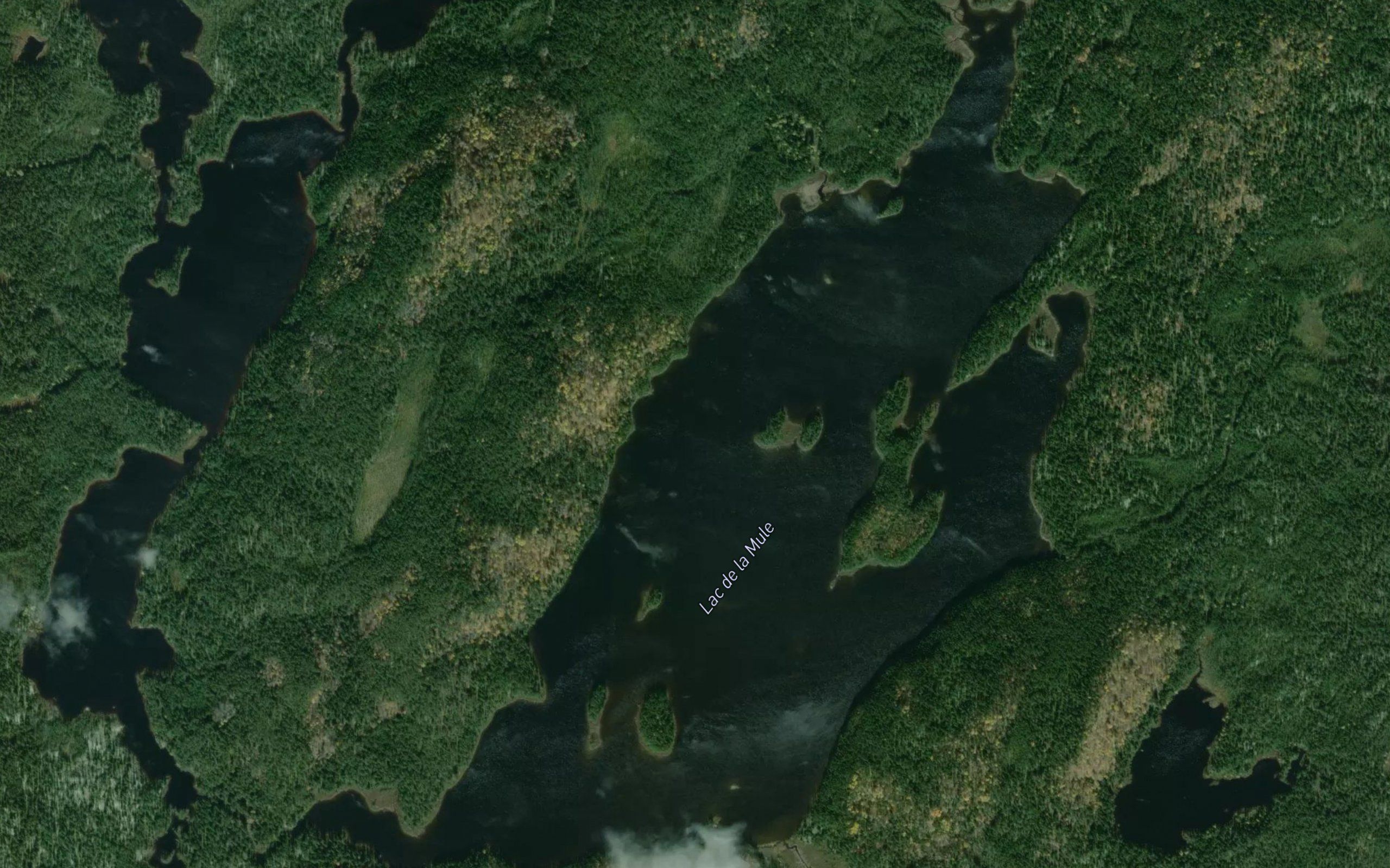 Lac de la Mule