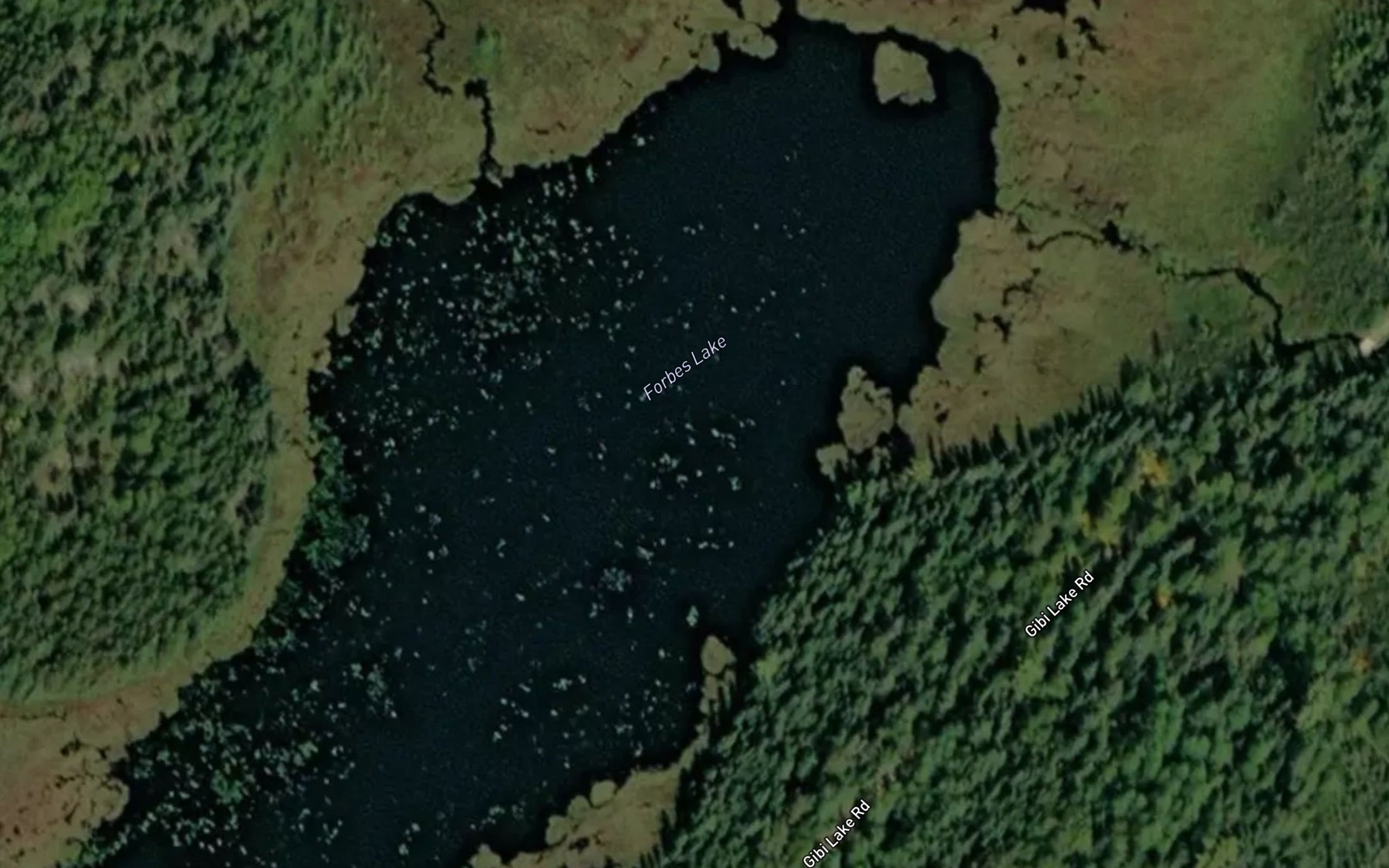 Satellite map of the Forbes Lake