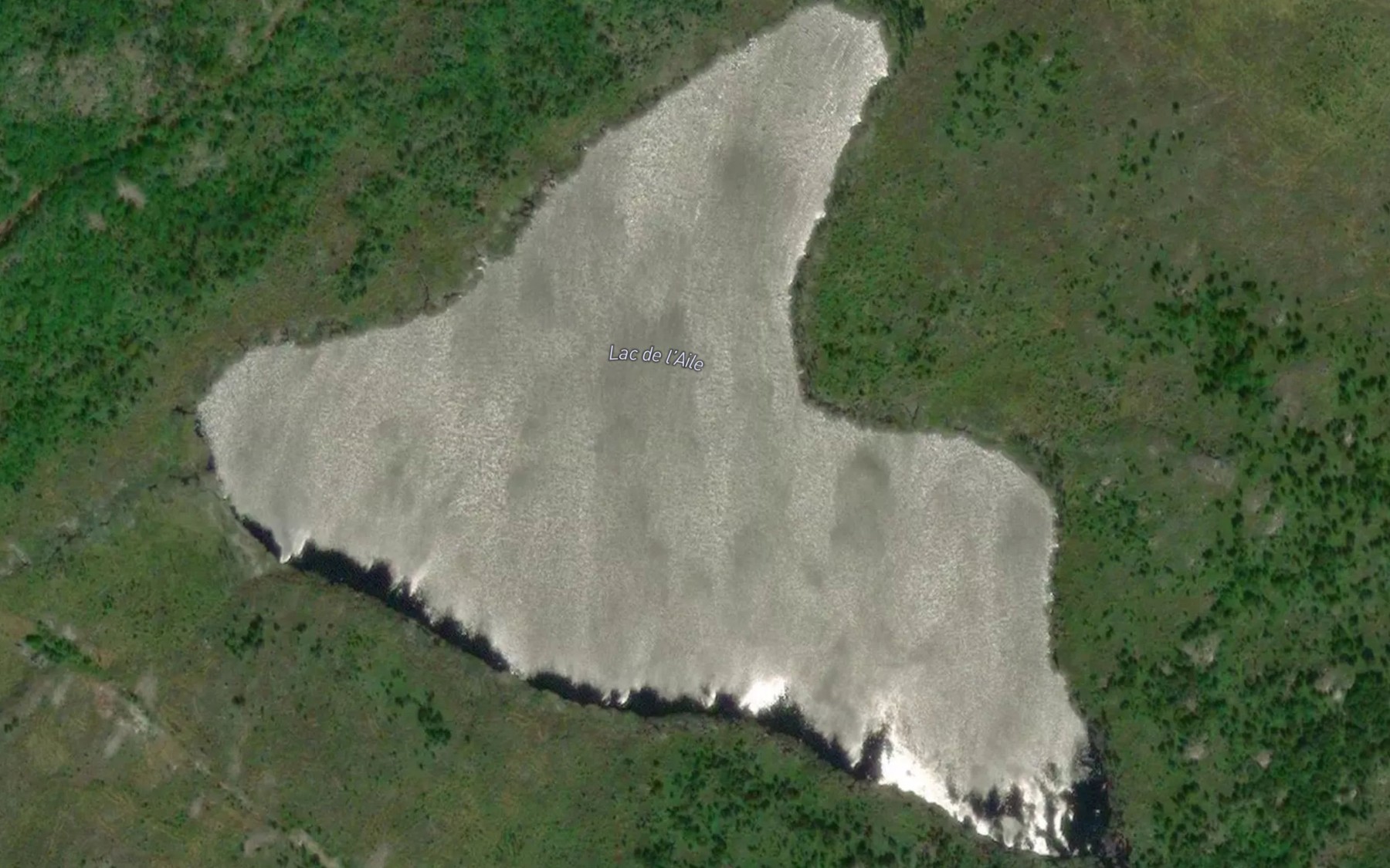 Satellite map of the Lac de l'Aile