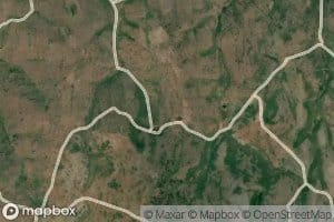 Triple Group Springs