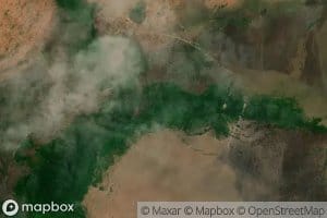 Morichal de La Madera