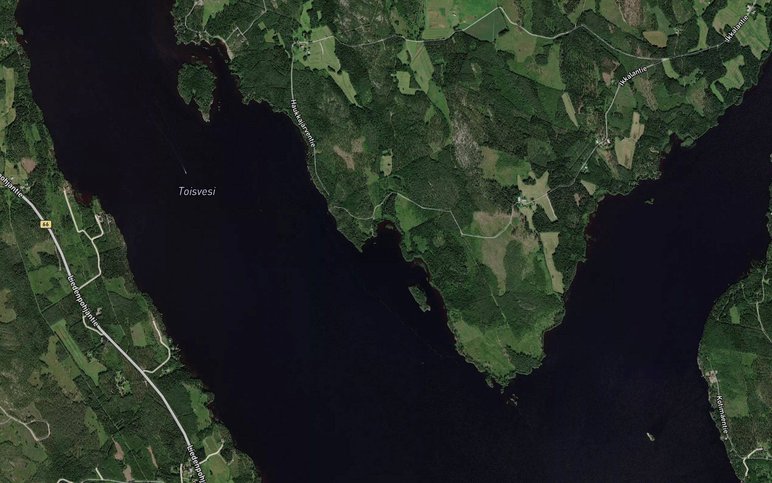 Levealahti