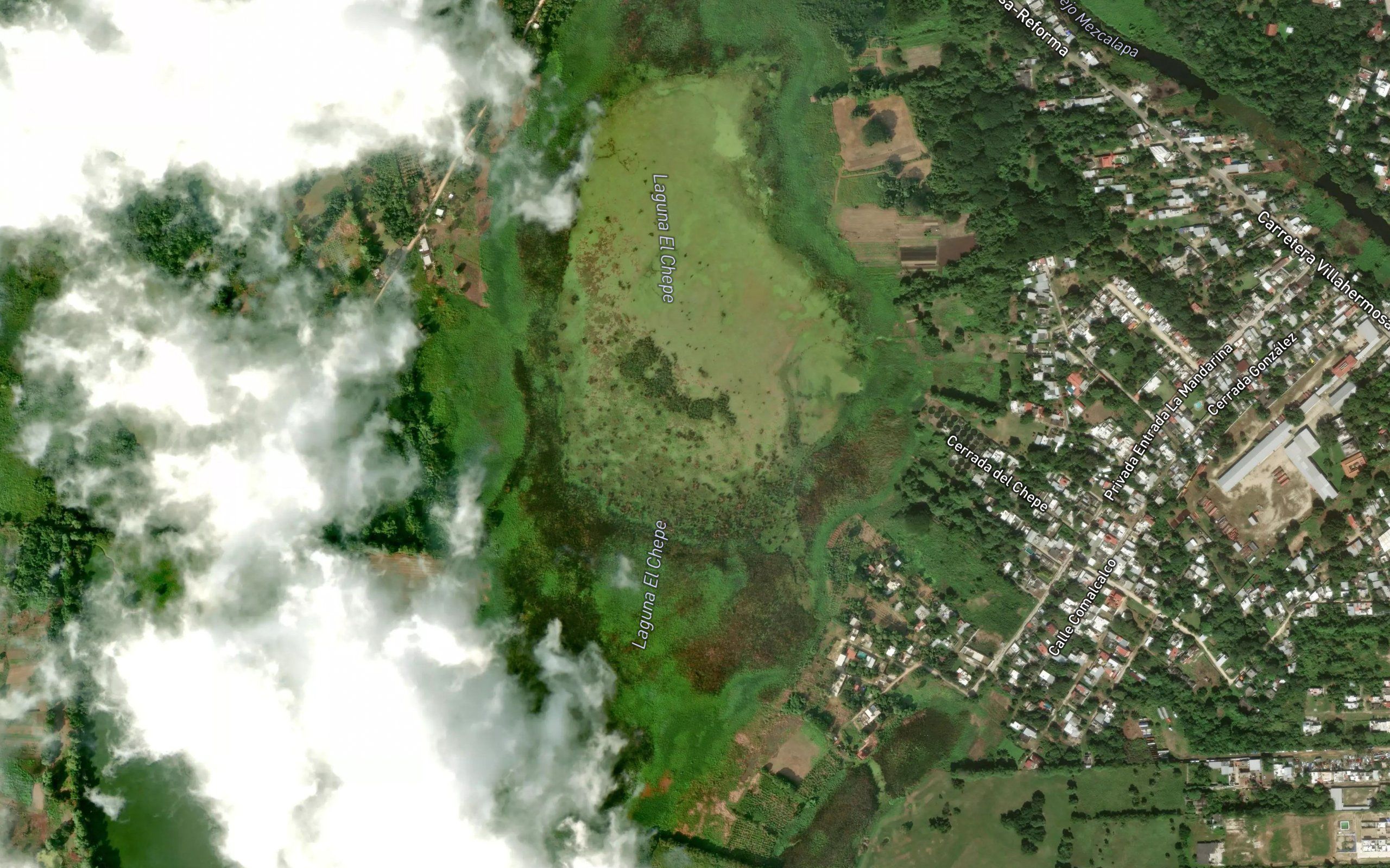 Laguna el Chepe