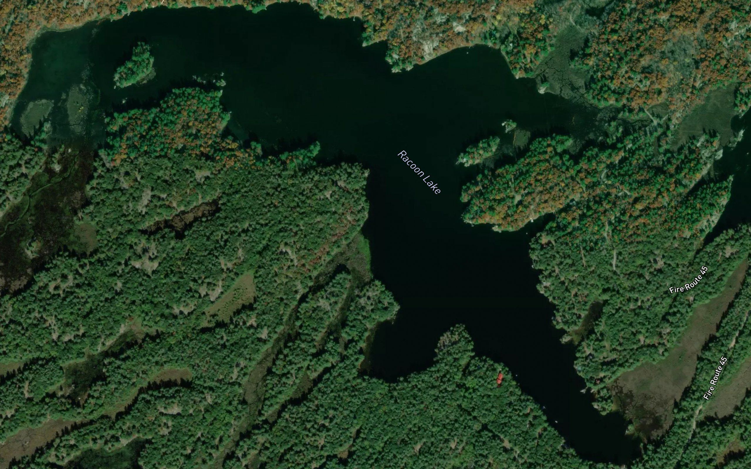 Coon Lake