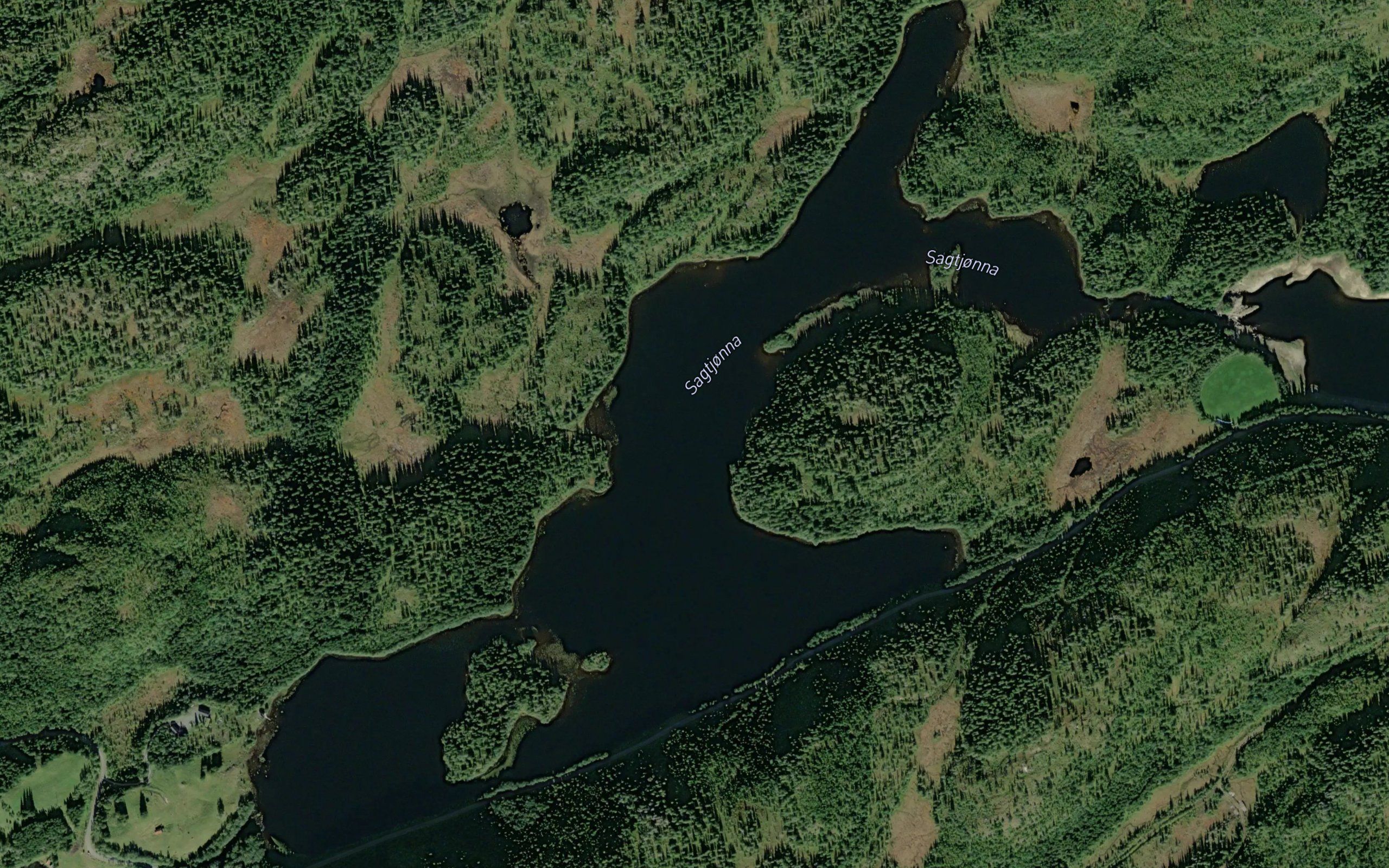 Sagtjorna