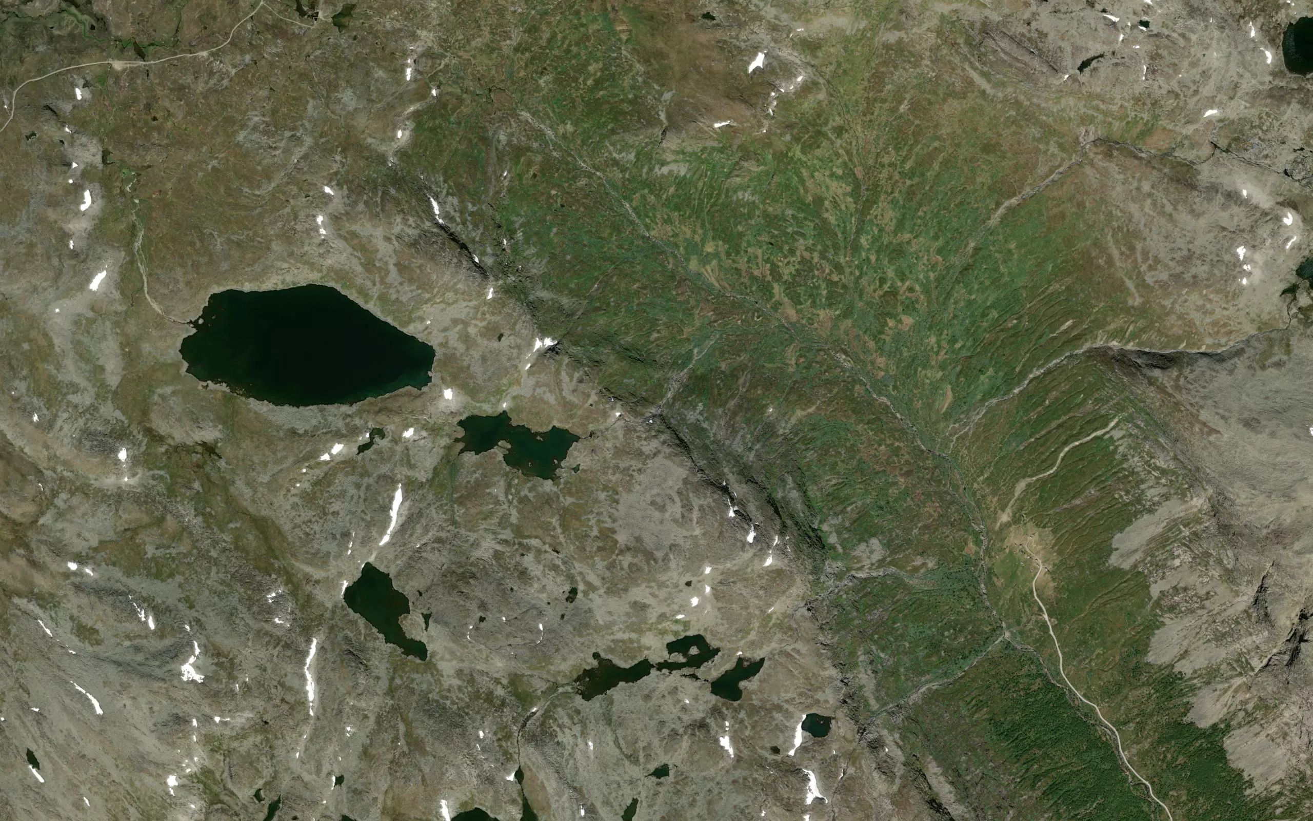 Nordlandsane
