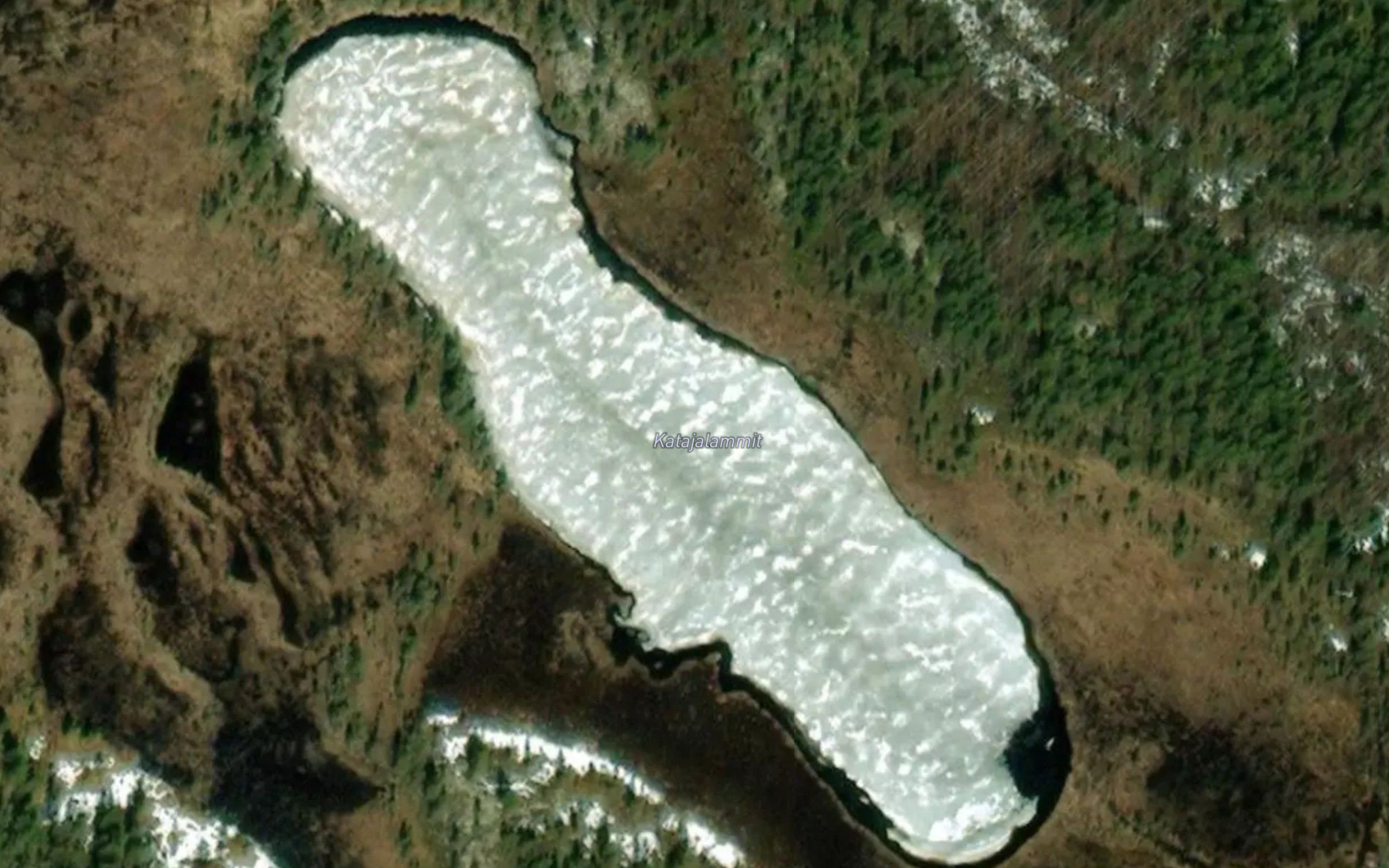 Katajalammit