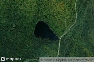 Lac Shear