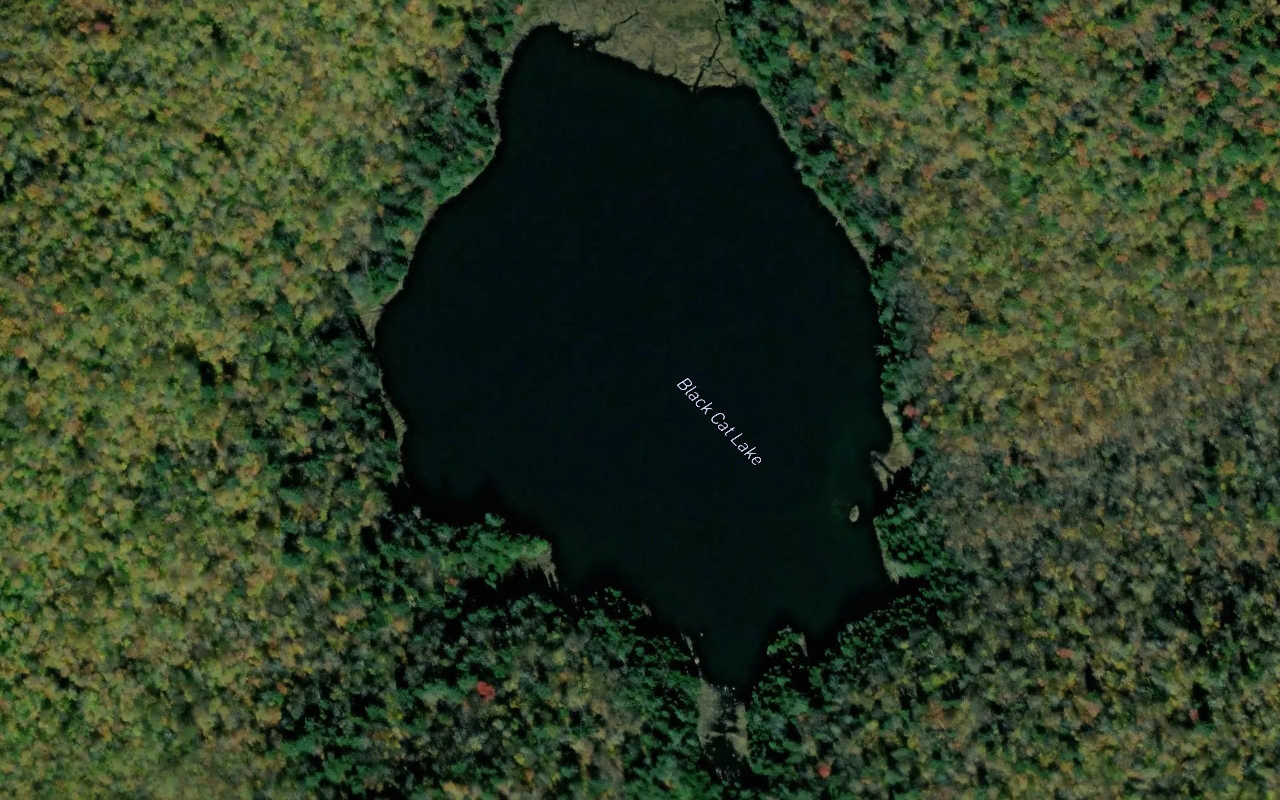 Black Cat Lake
