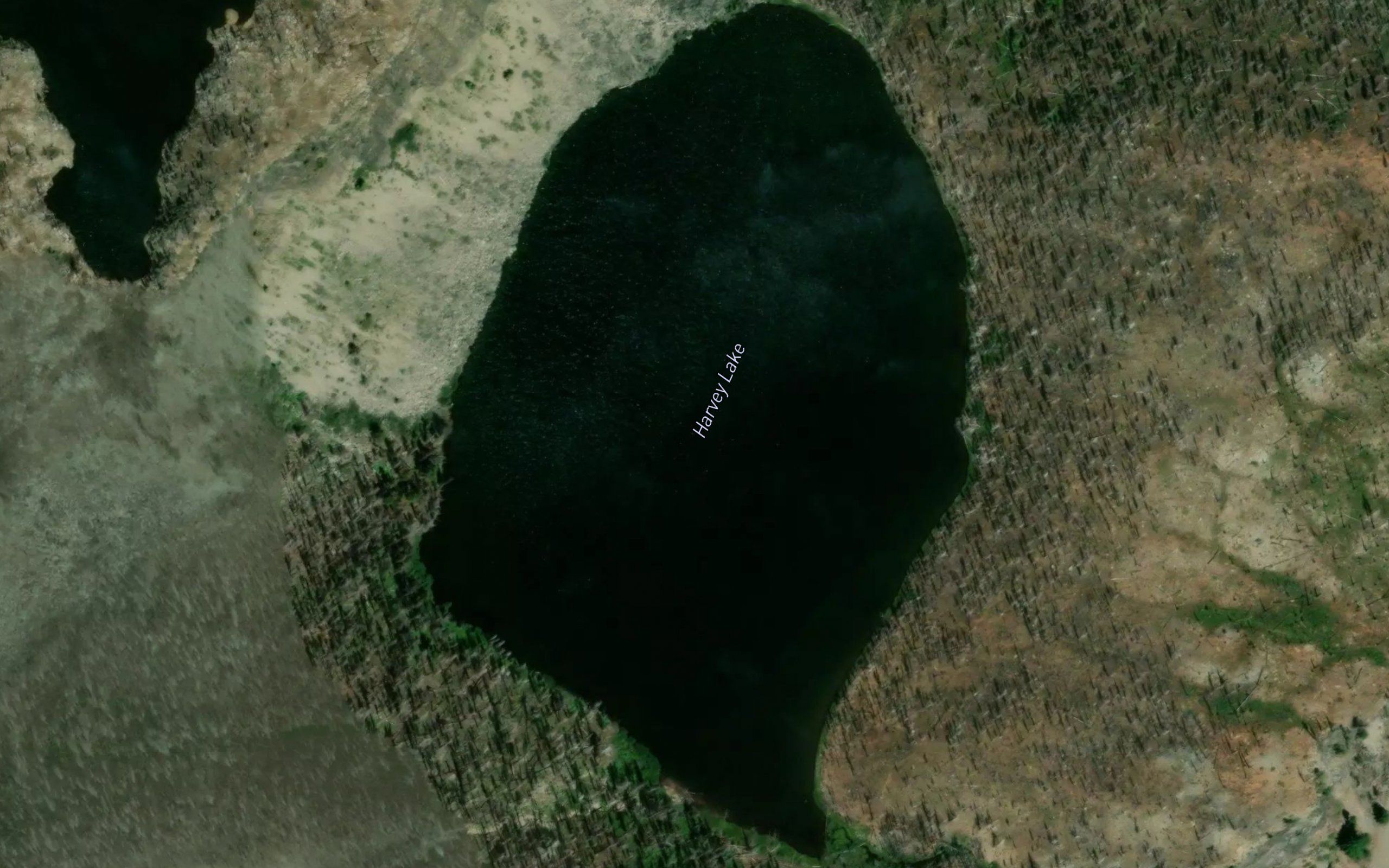 Harvey Lake