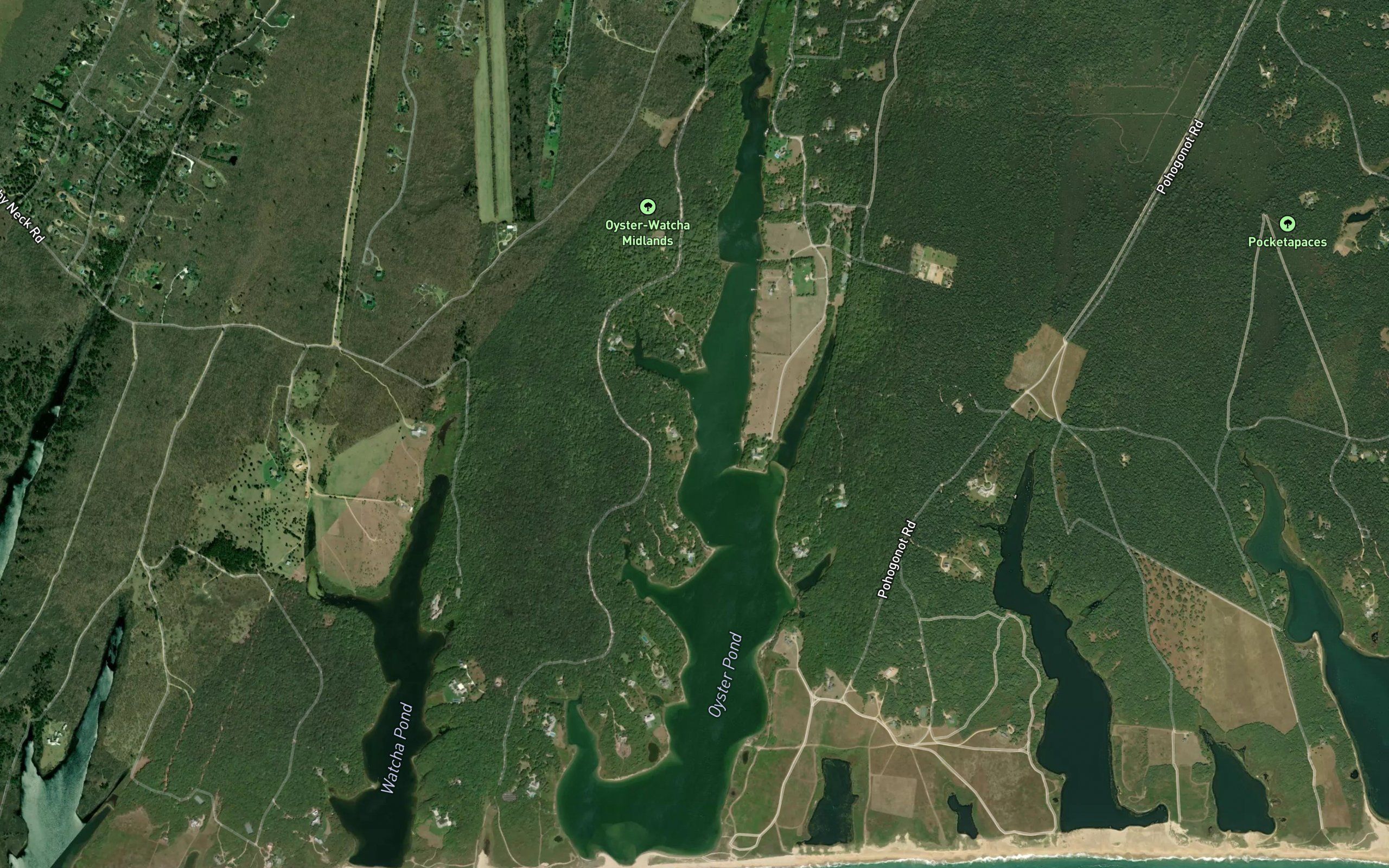 Oyster Pond