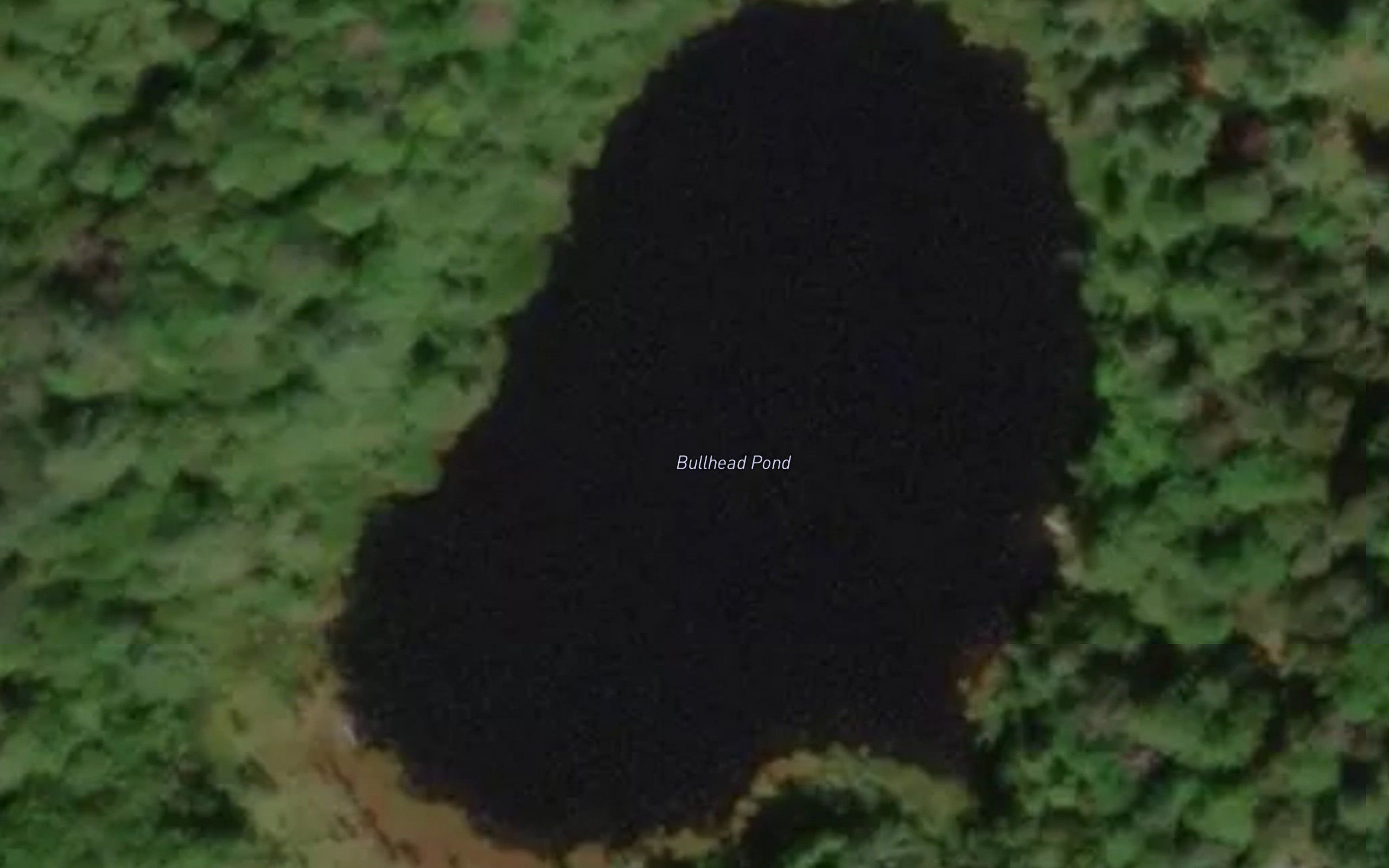 Bullhead Pond
