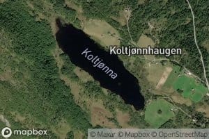 Koltjorna