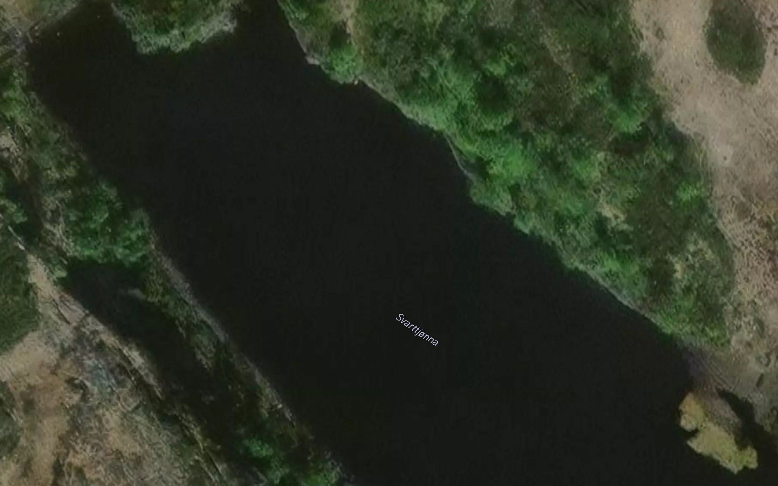 Svarttjonna