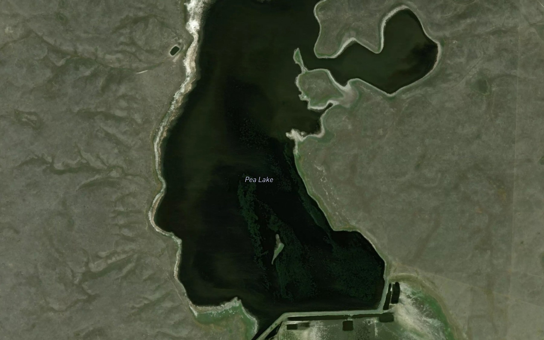 Satellite map of the Pea Lake