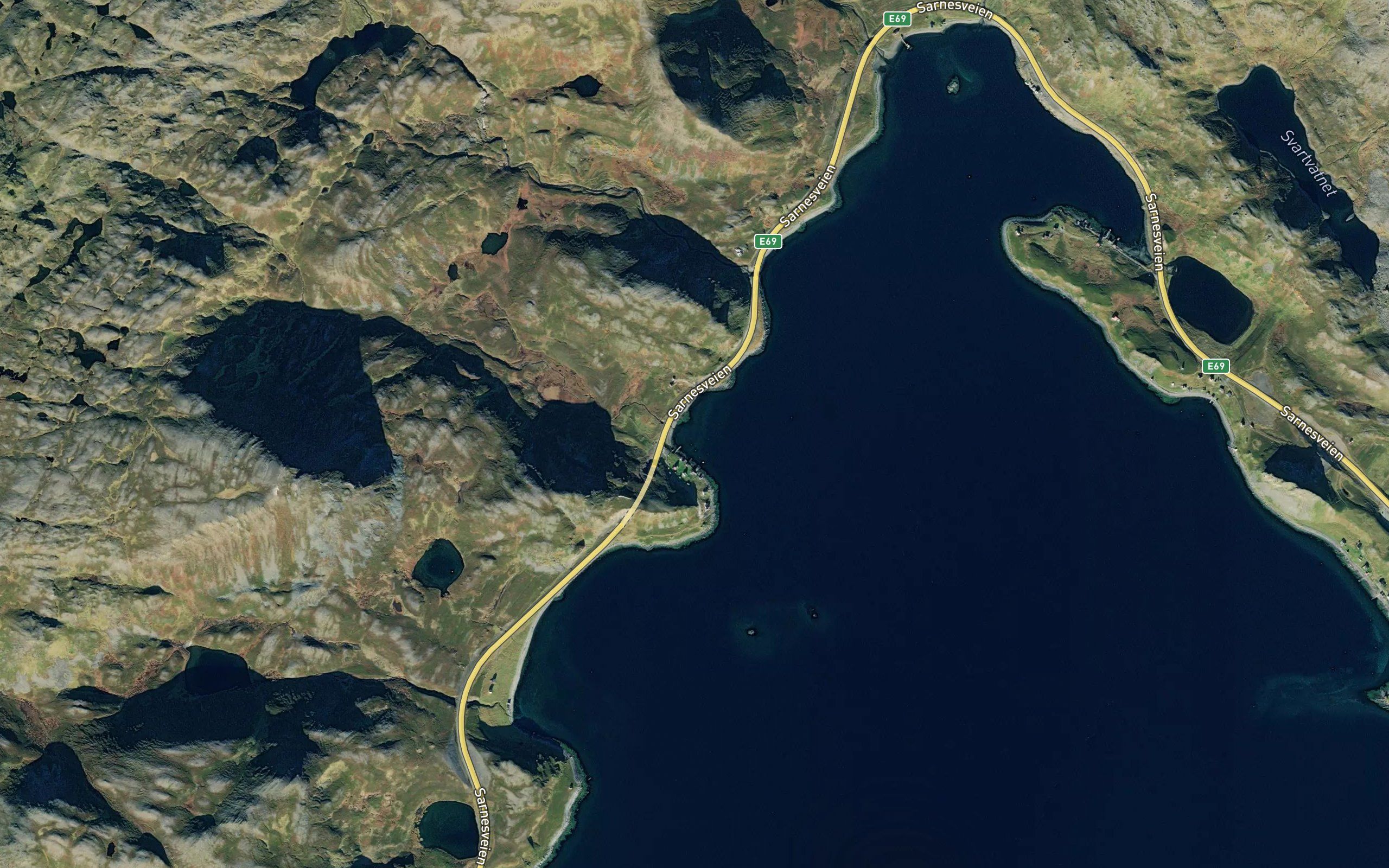 Ole Arntsavika