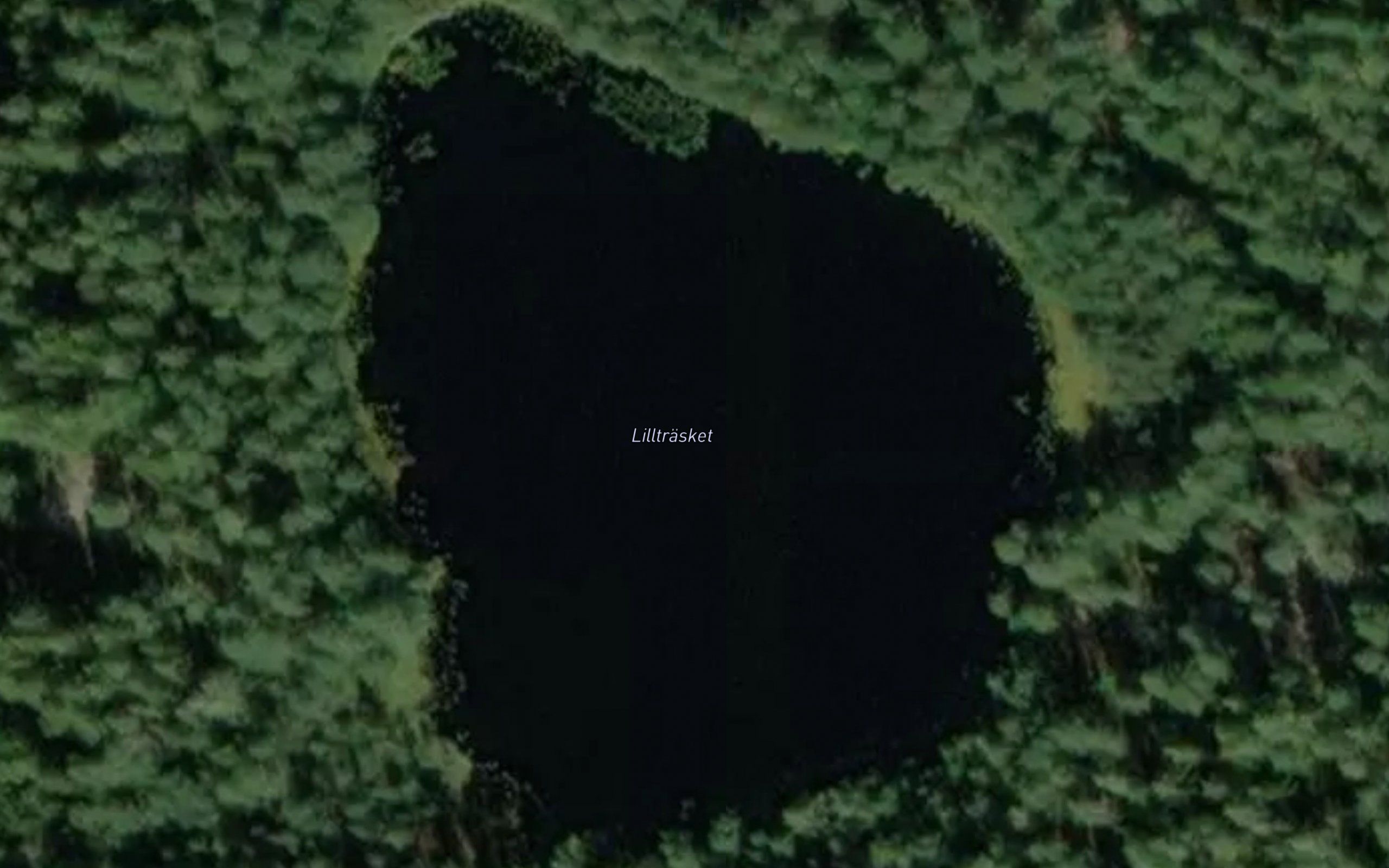 Lilltrasket