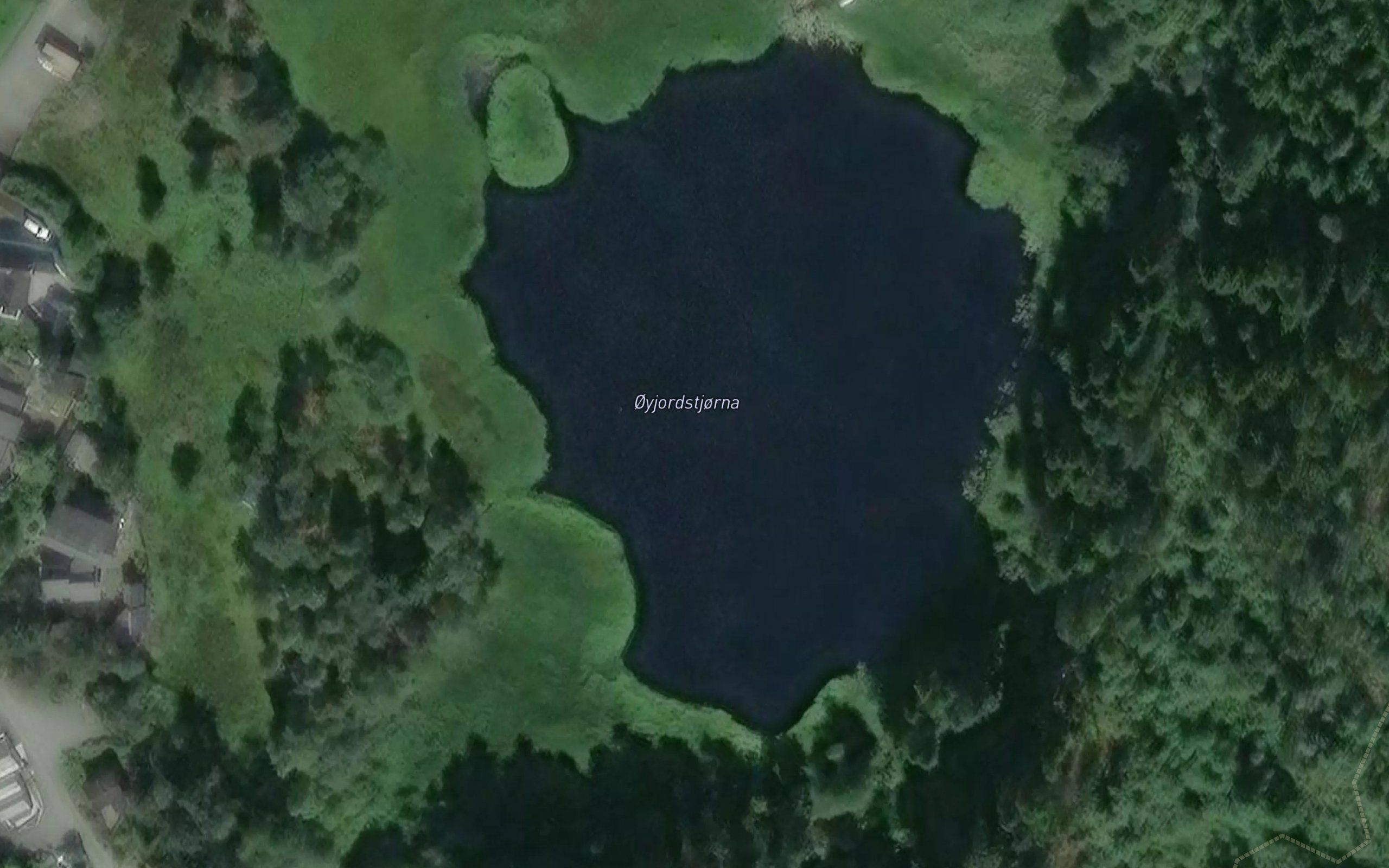 Oyjordstjorna