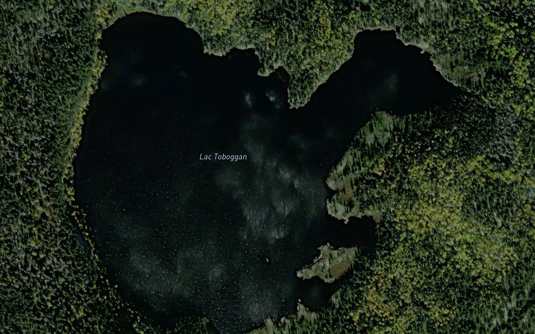 Satellite map of the Lac Toboggan
