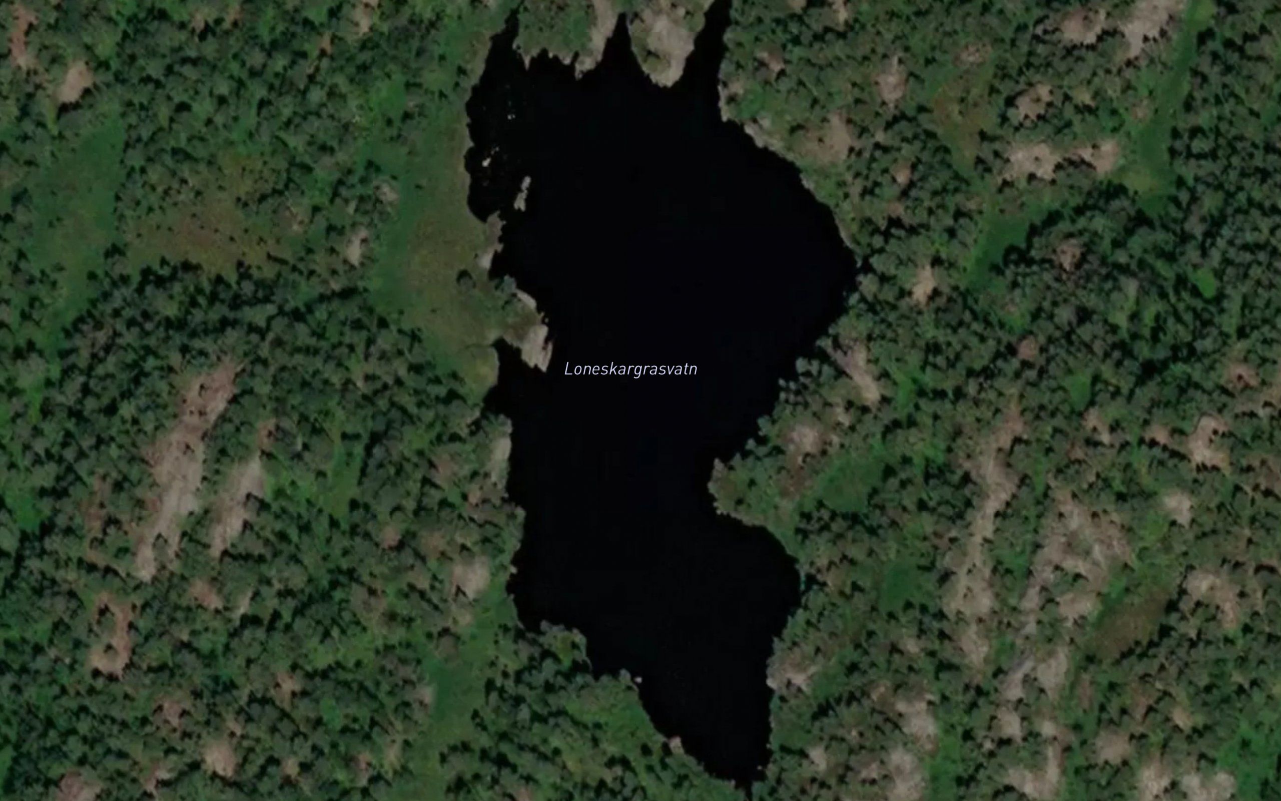 Fossemyrvatna